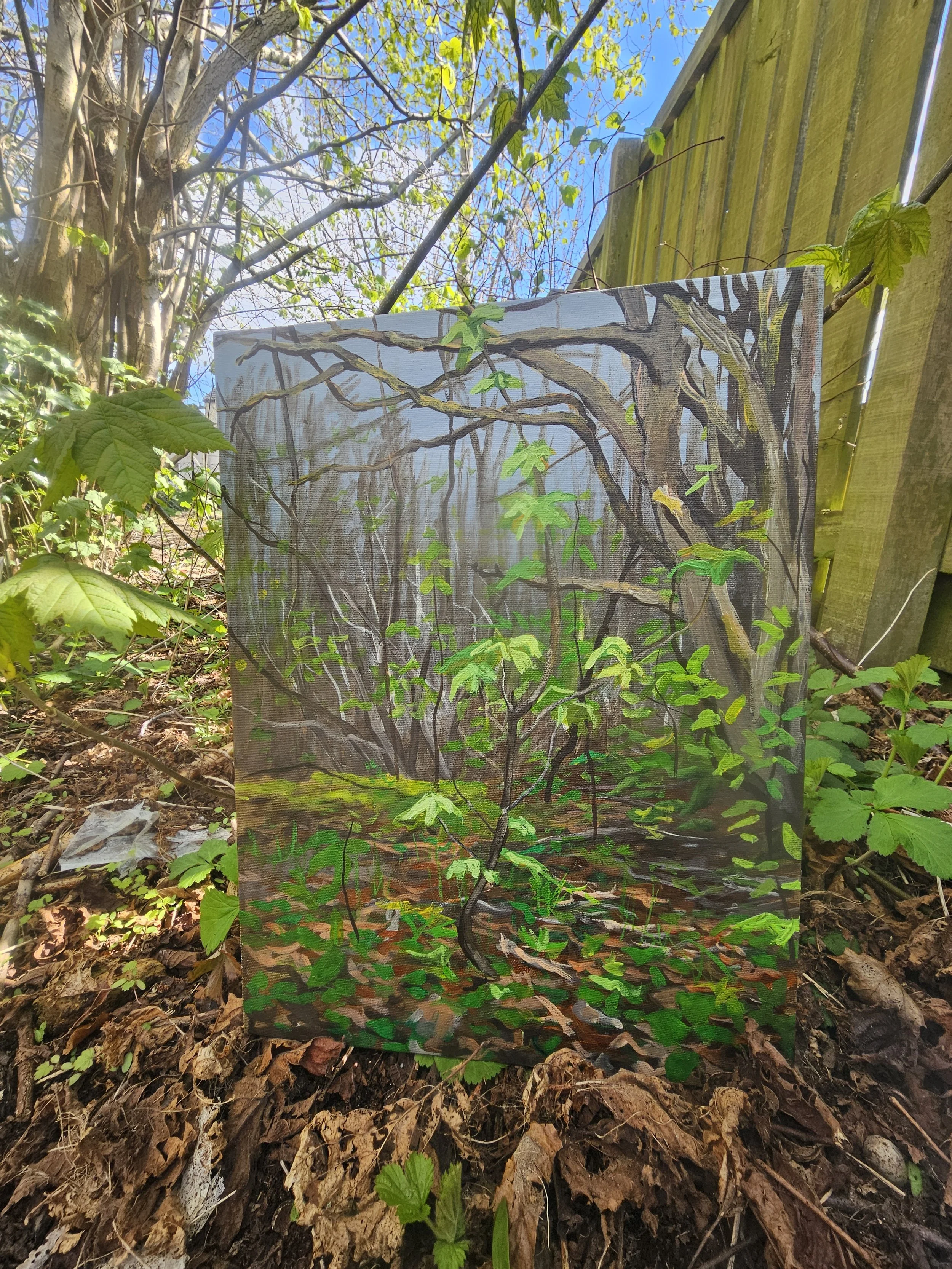 Beyond the Fence
