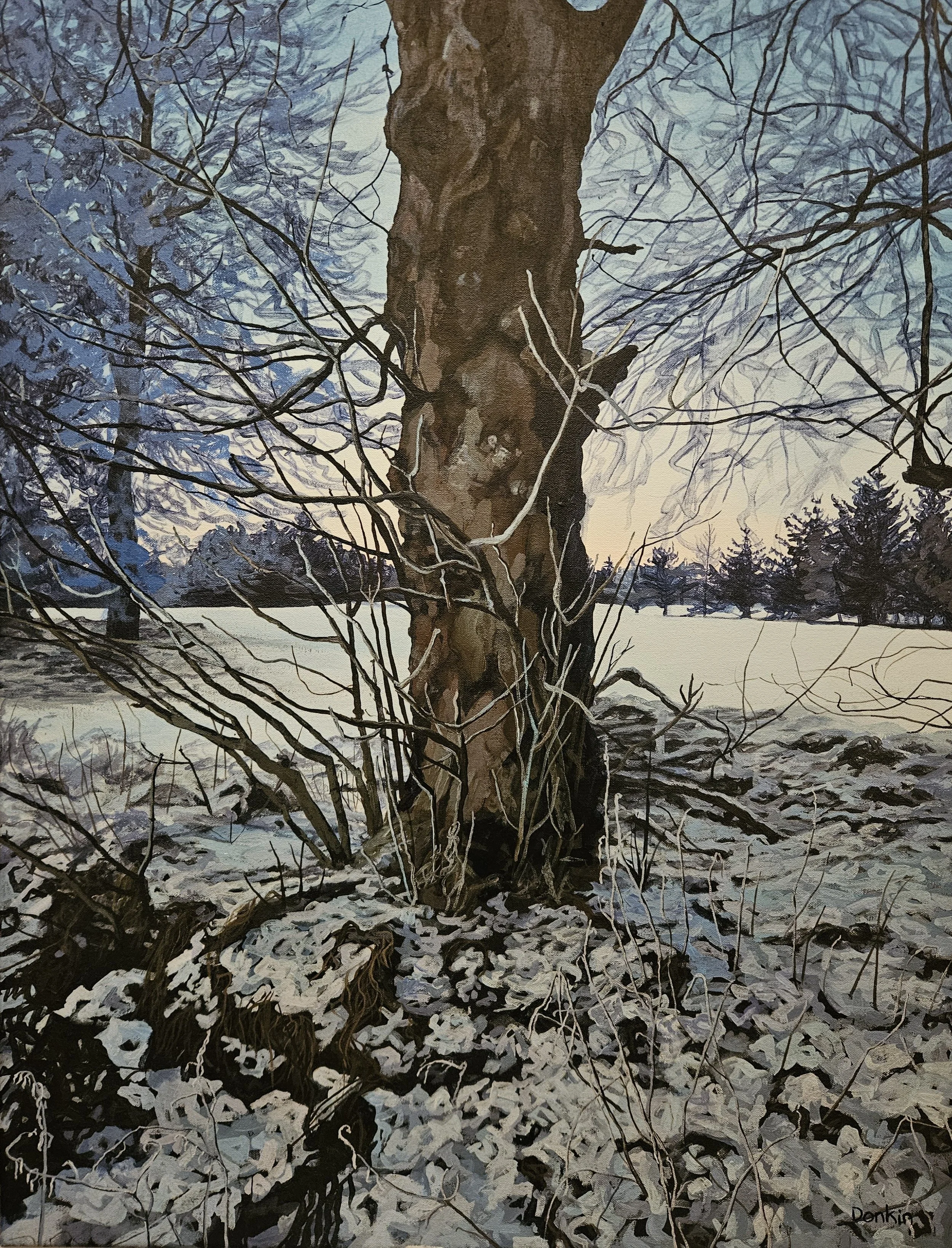 Winter Rest