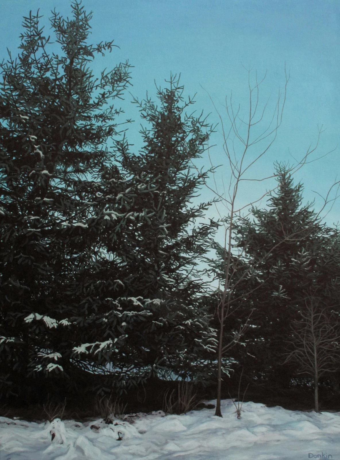 Borders of Winter (email size).jpg