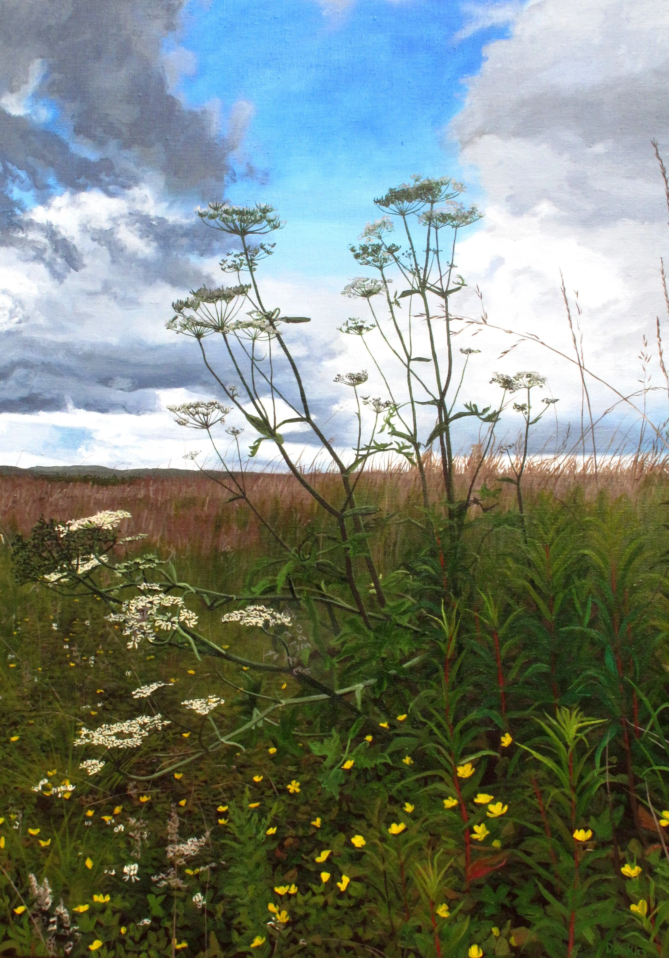 Hogweed.jpg