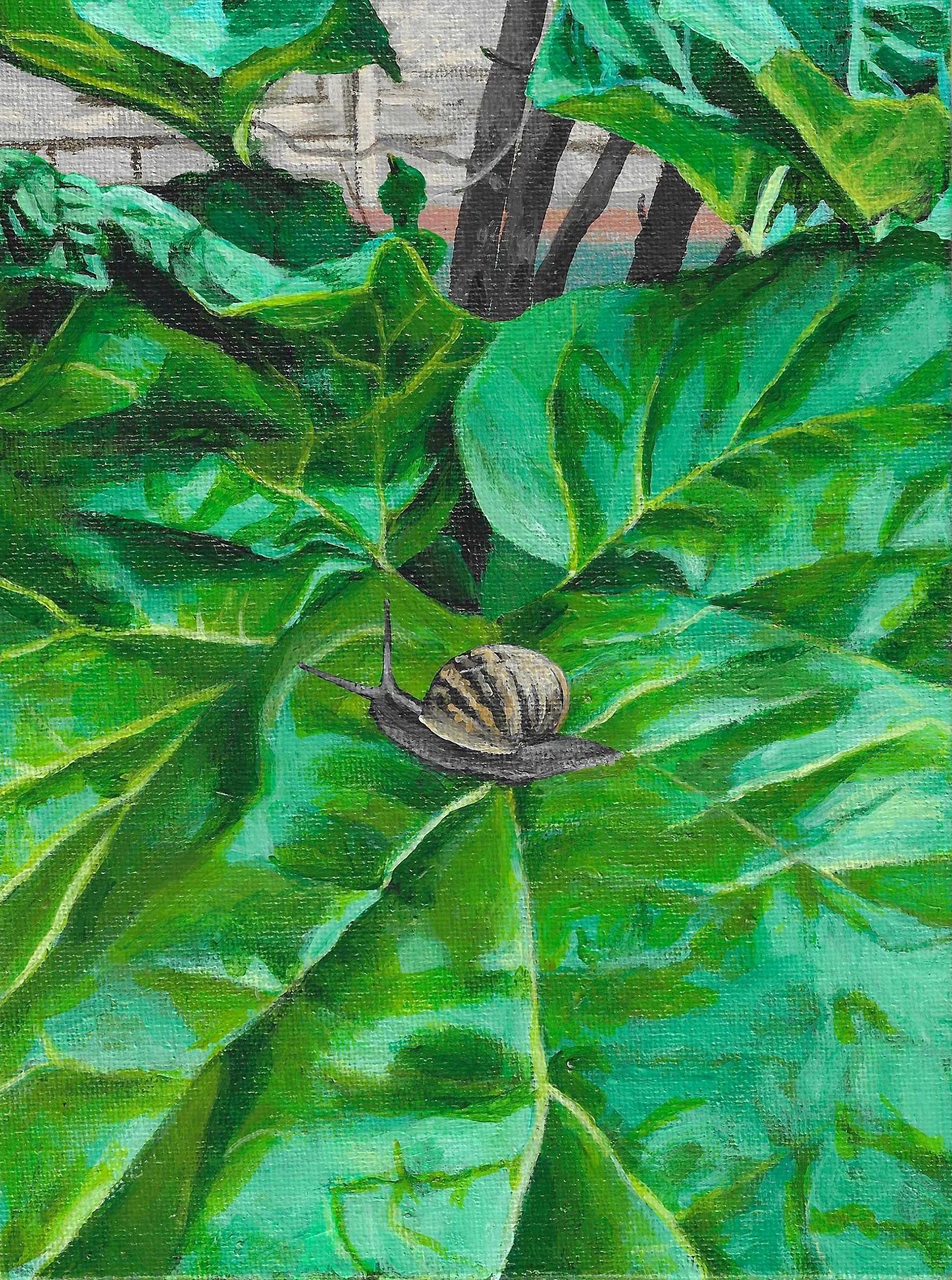 Planet Snail, available from Morningside Gallery