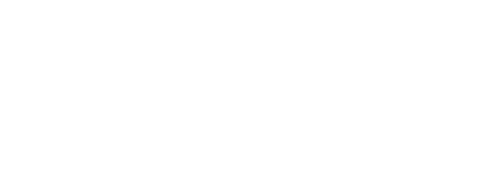 THE AFTER ACTION BATTALION