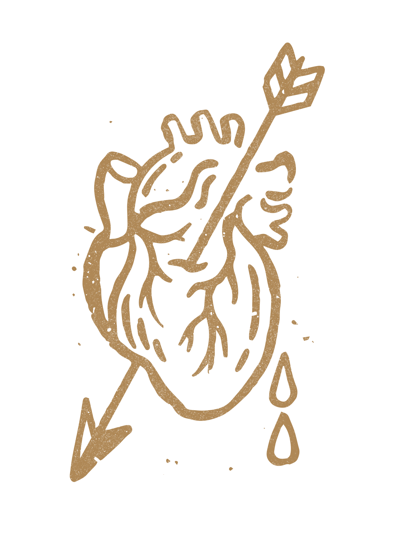 CD_Icon_Heart.png