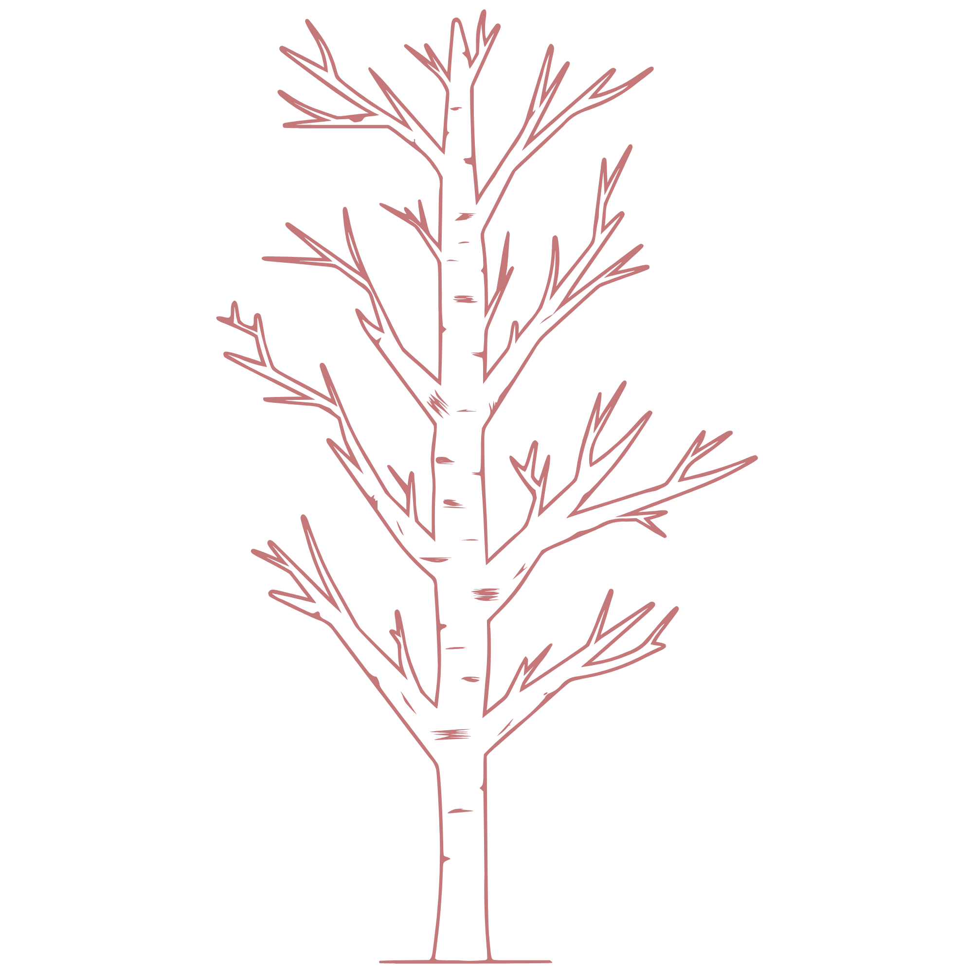 Line drawing of a wine glass with a branch of a coniferous tree in the glass.