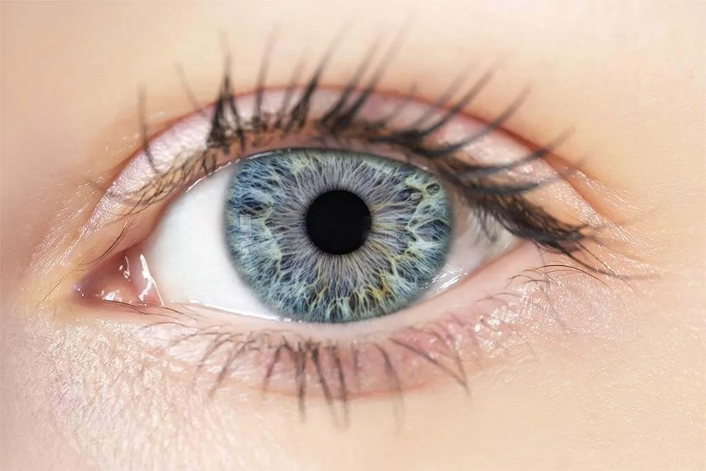 Iridology Analysis & Report
