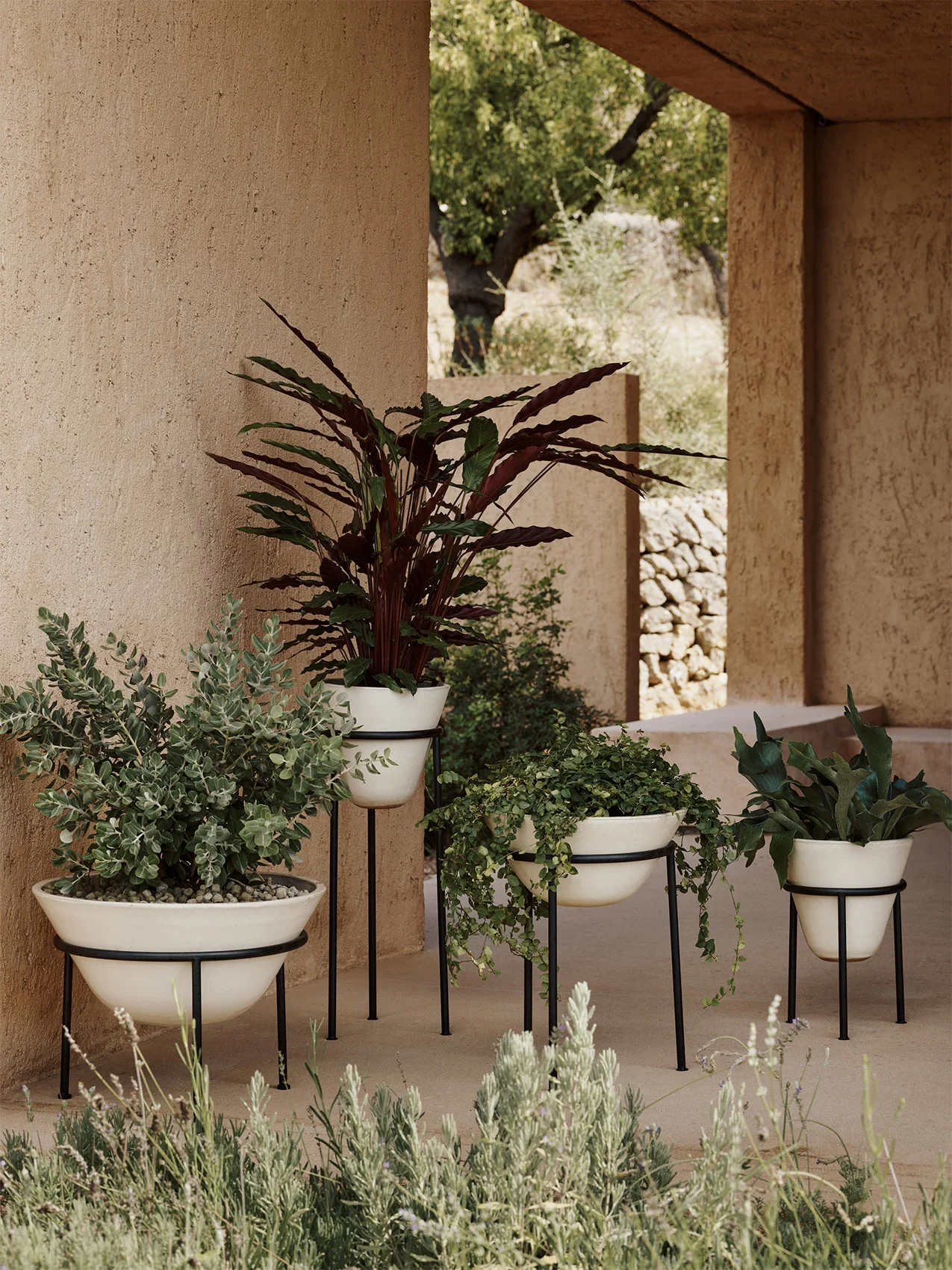 MENU_Daiza_Planters_2.webp