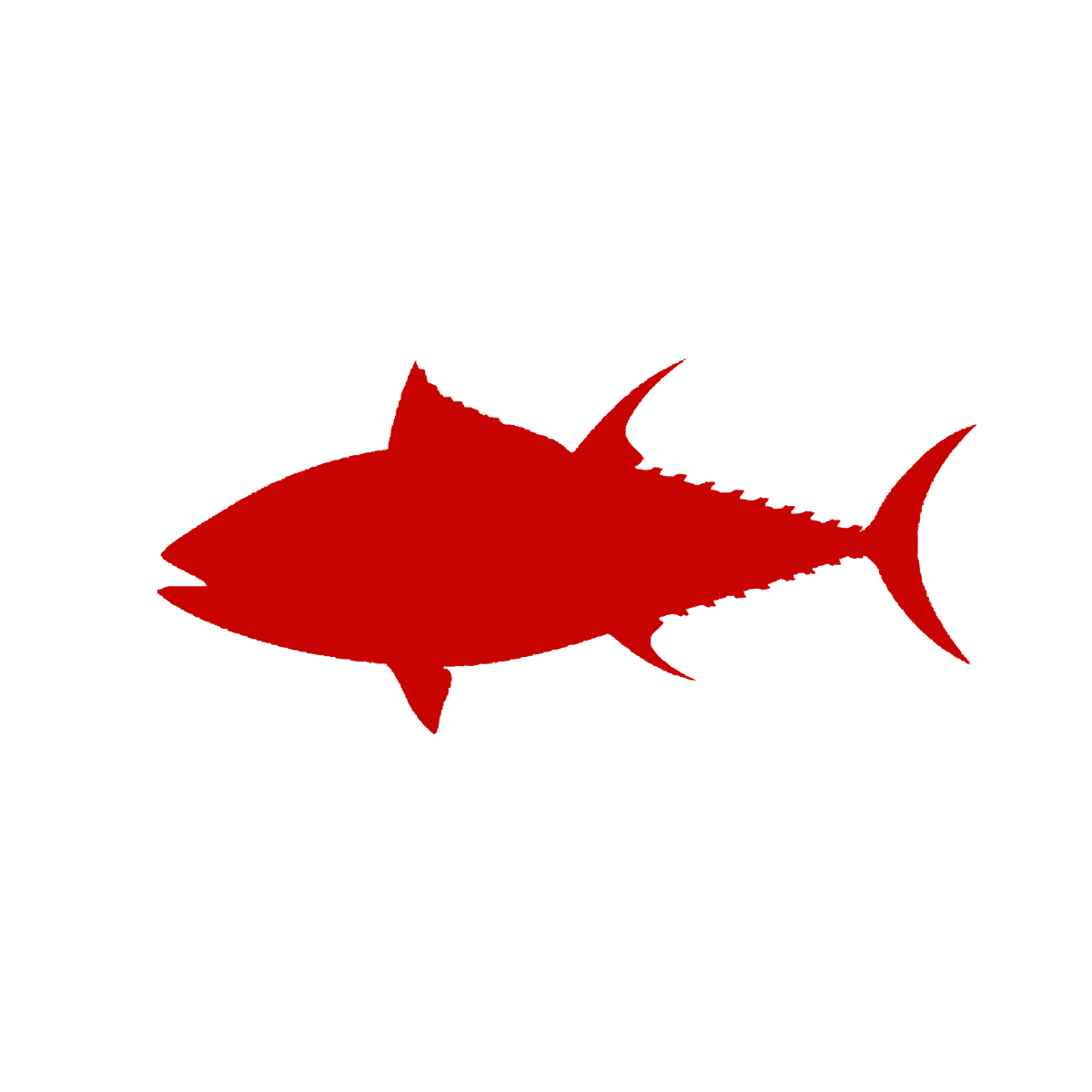 SYC