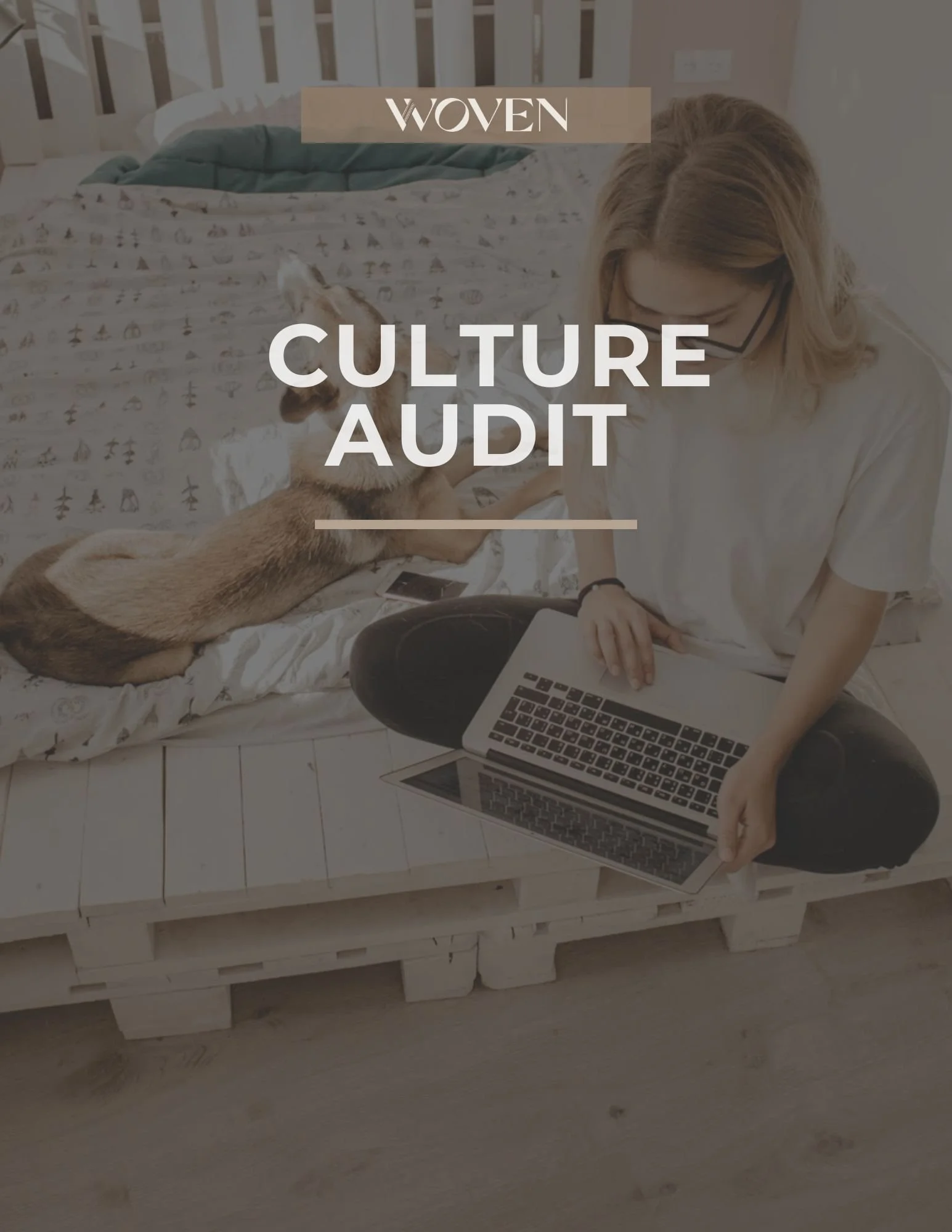 Mini Culture Audit Workbook