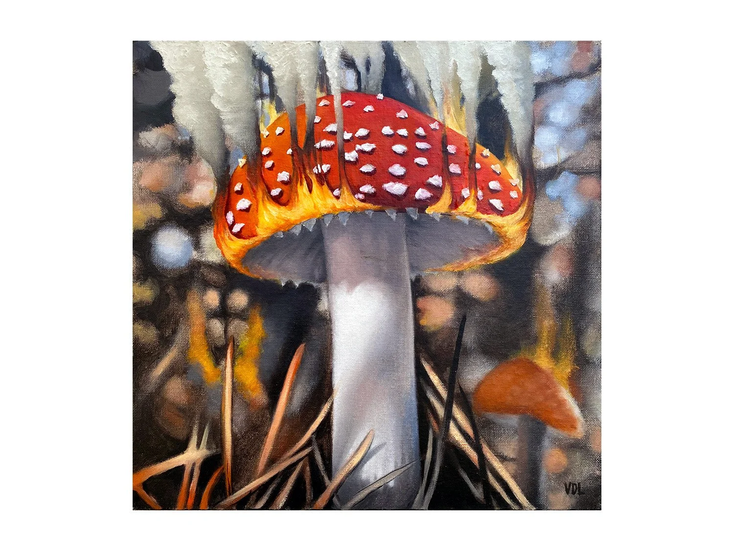 David VonDerLinn_mushroom_no_4_12x12 A.jpg