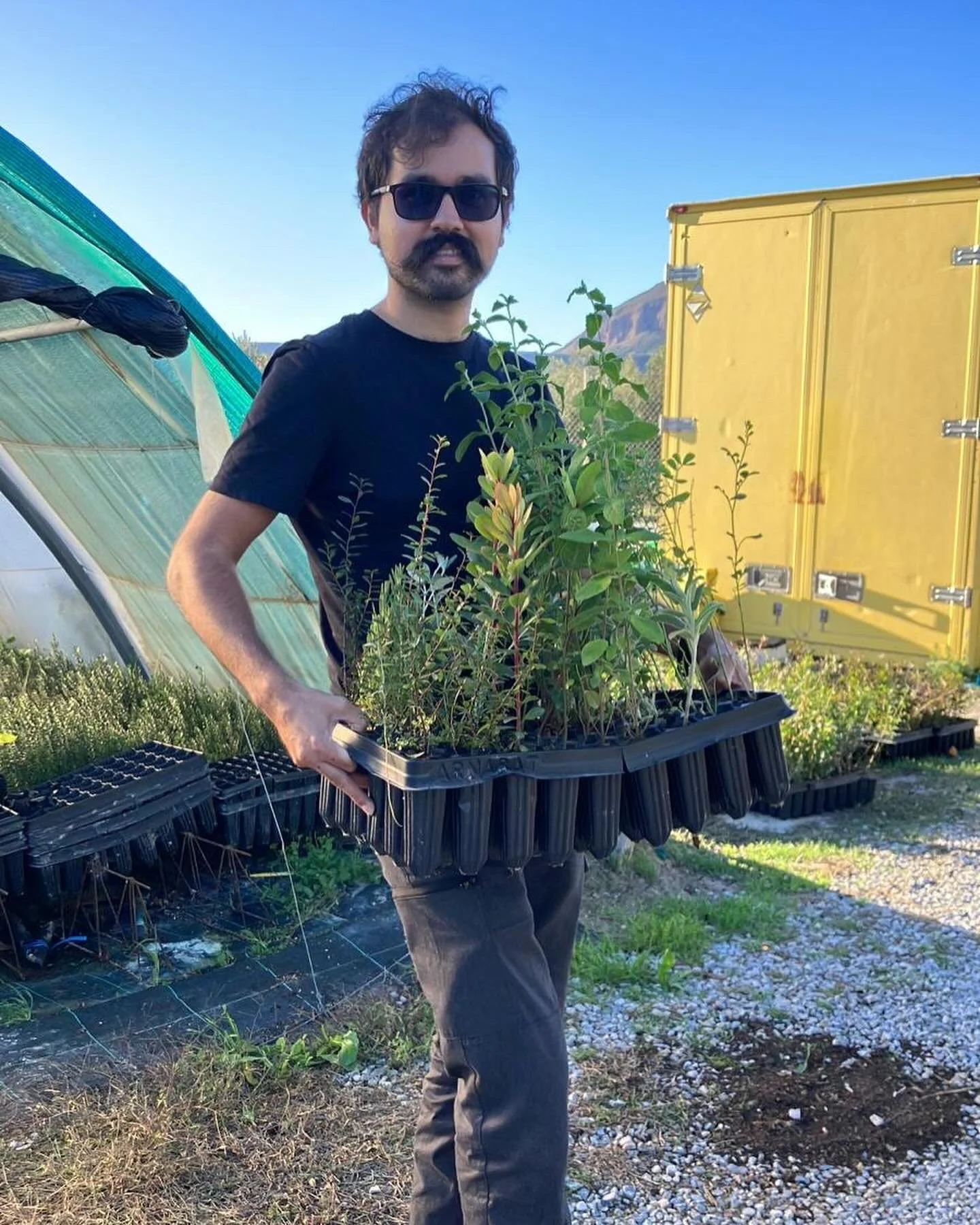 Native Mini-forest Project