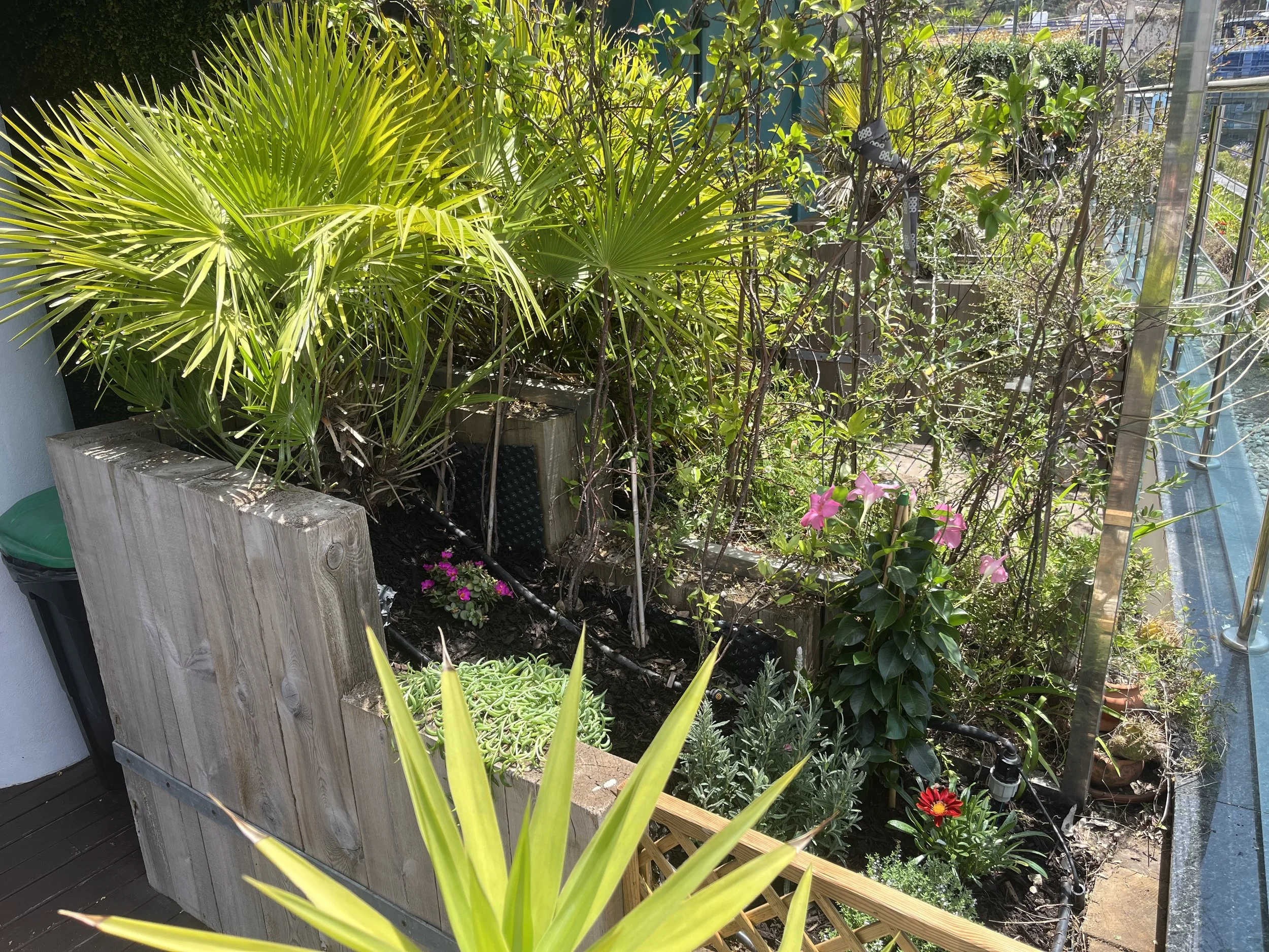 Ocean Spa Plaza Planter Restoration