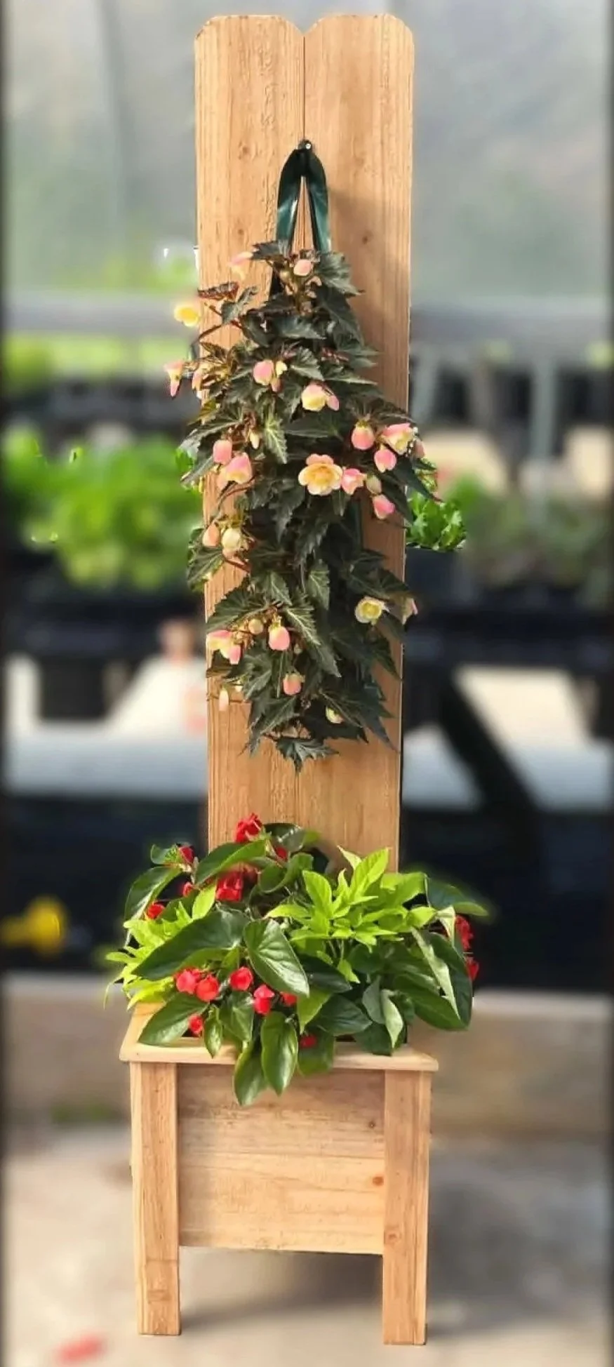 Planter%2B25.jpg