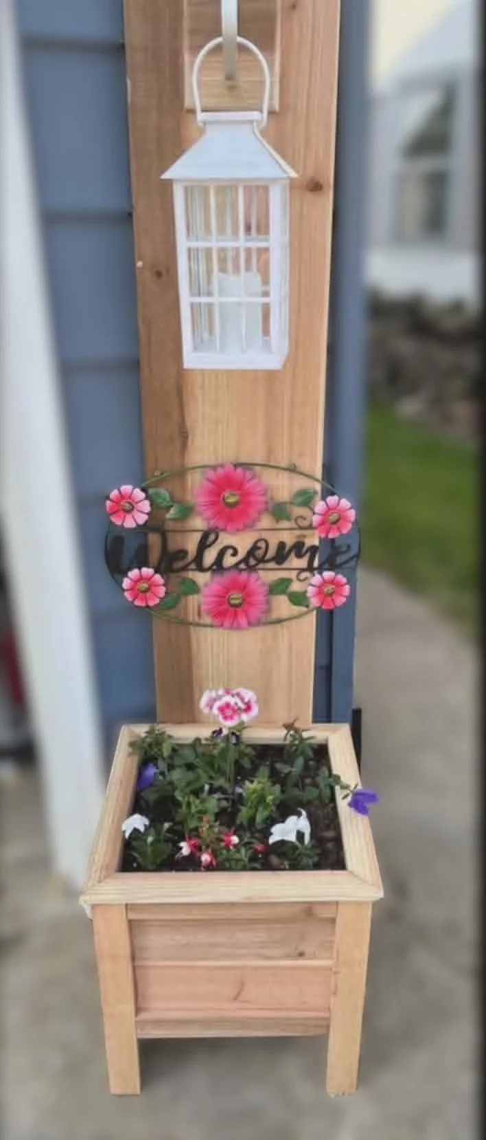 Planter 24.jpg