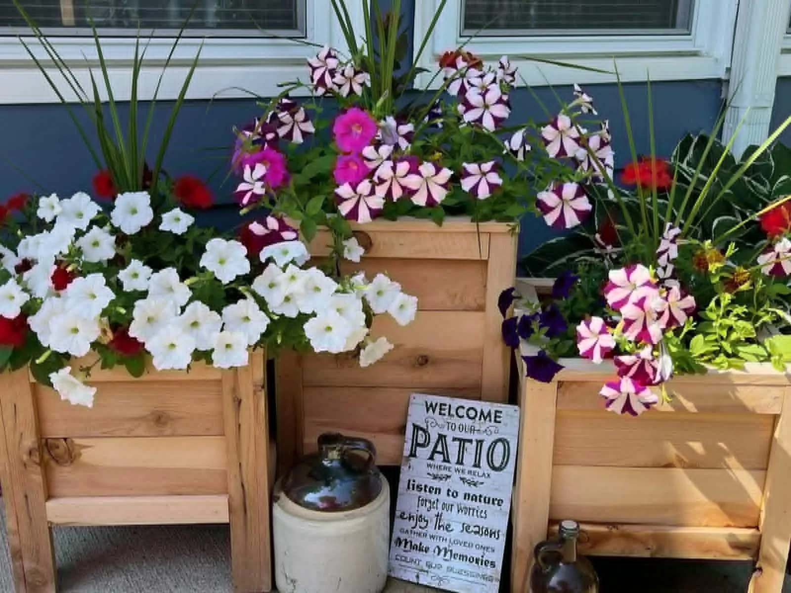 Planter 21.jpg