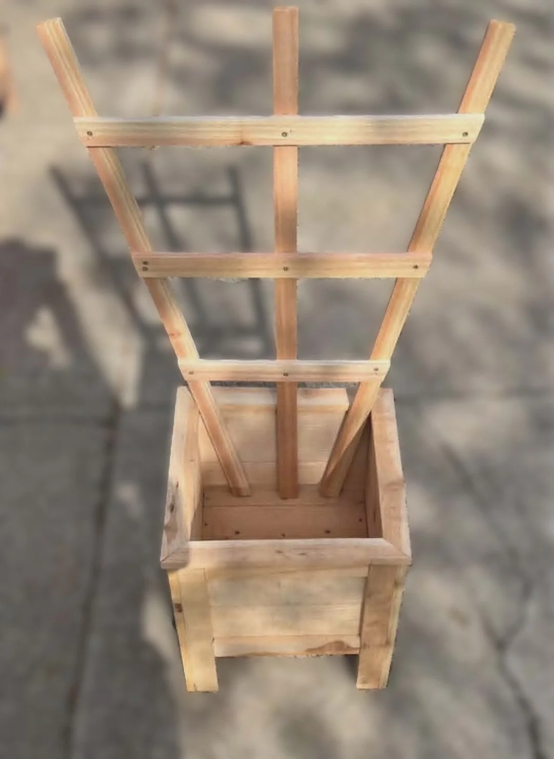 Planter 16.jpg