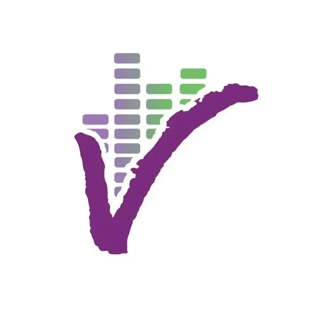  99.3 The Vine 