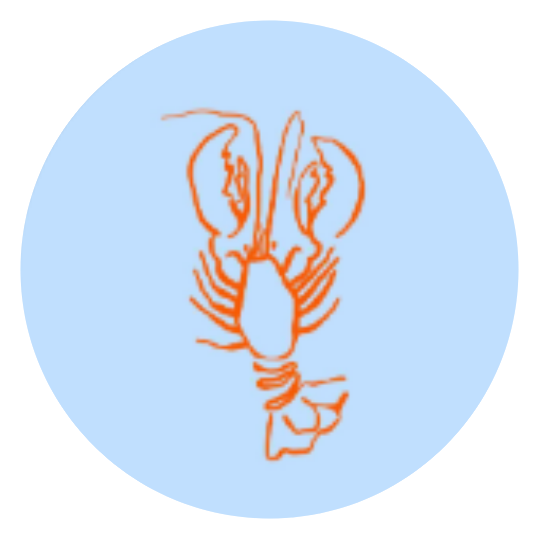 25.png