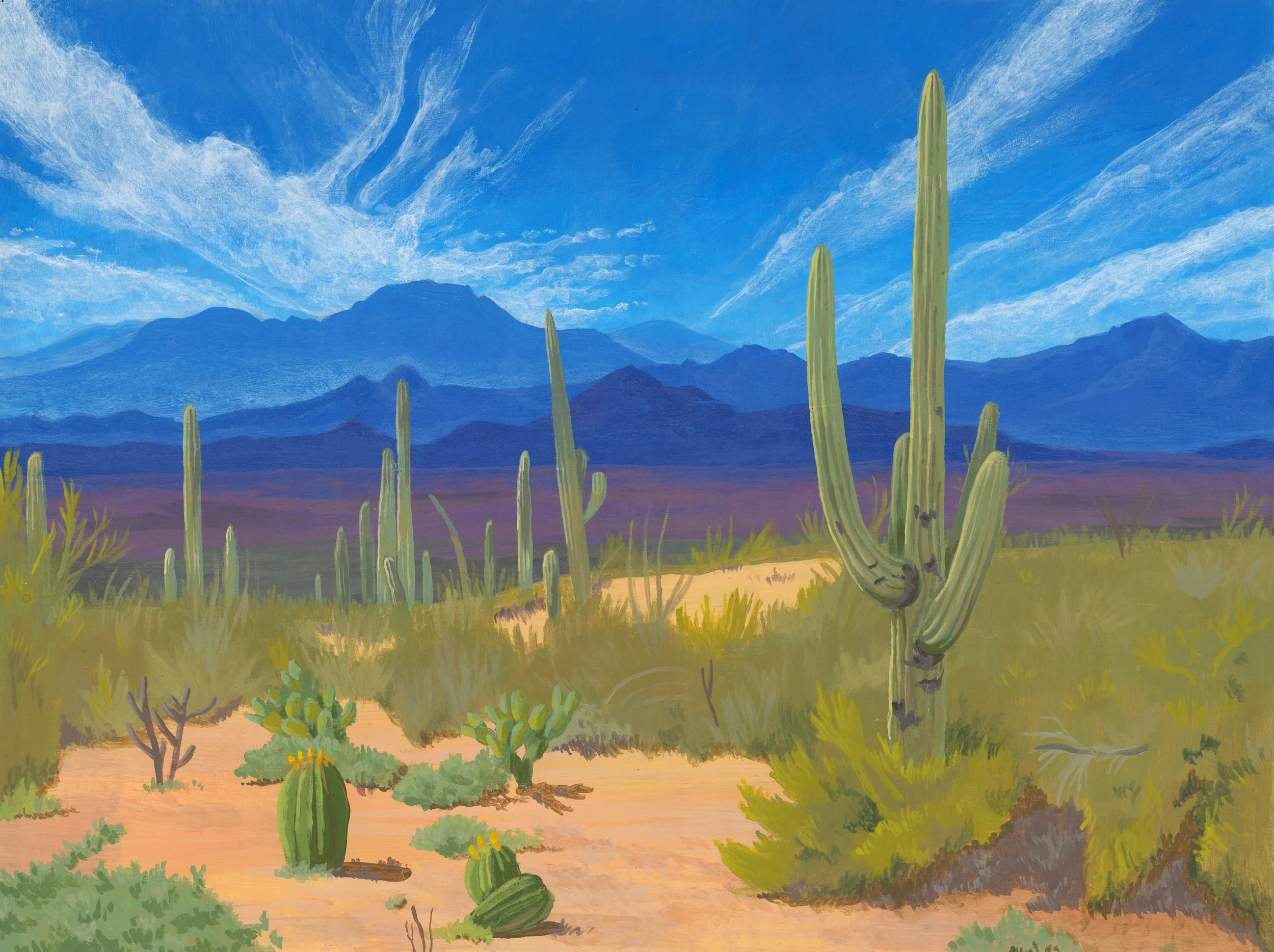 desertlandscapeimproved.jpg