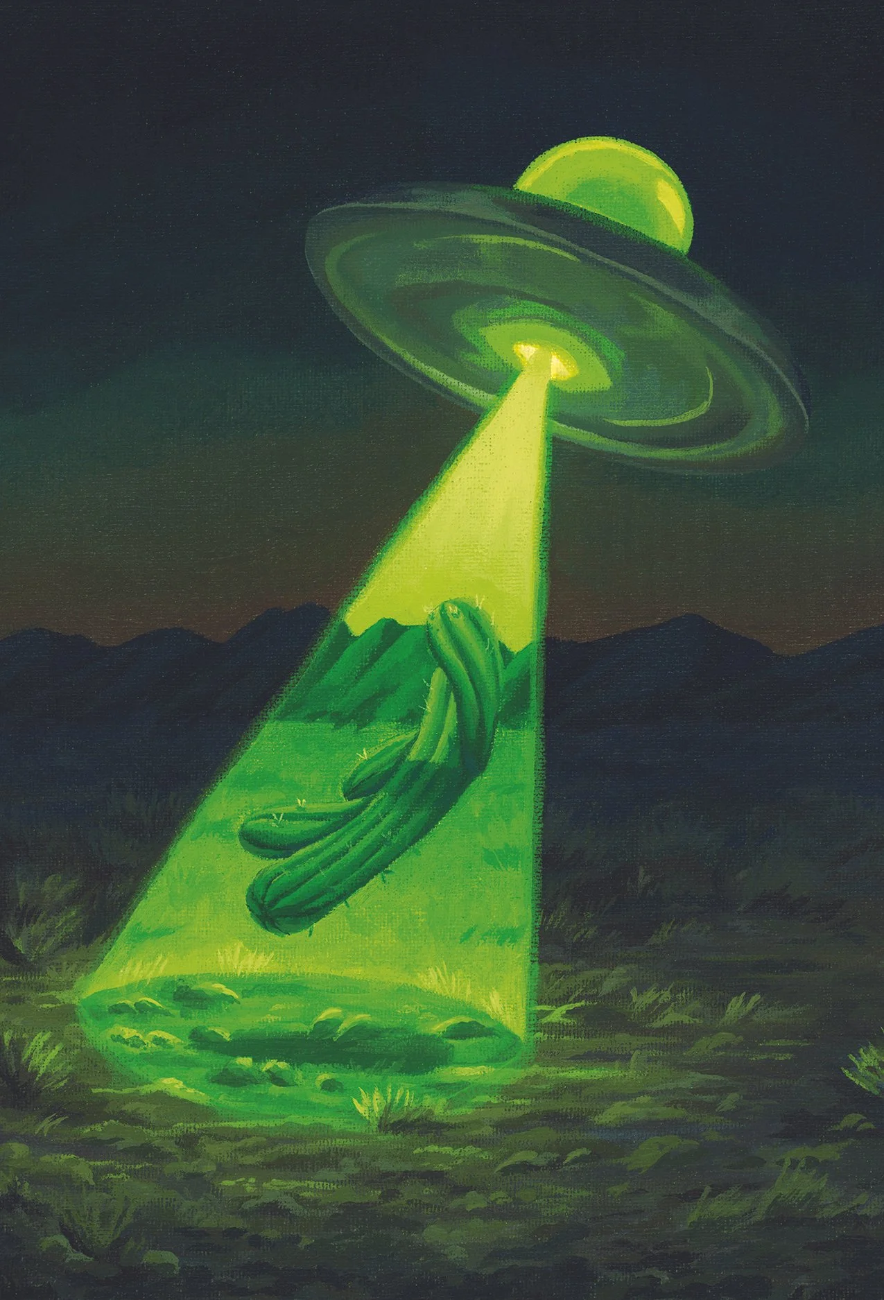 Cactus Abduction Print 6x4.jpg
