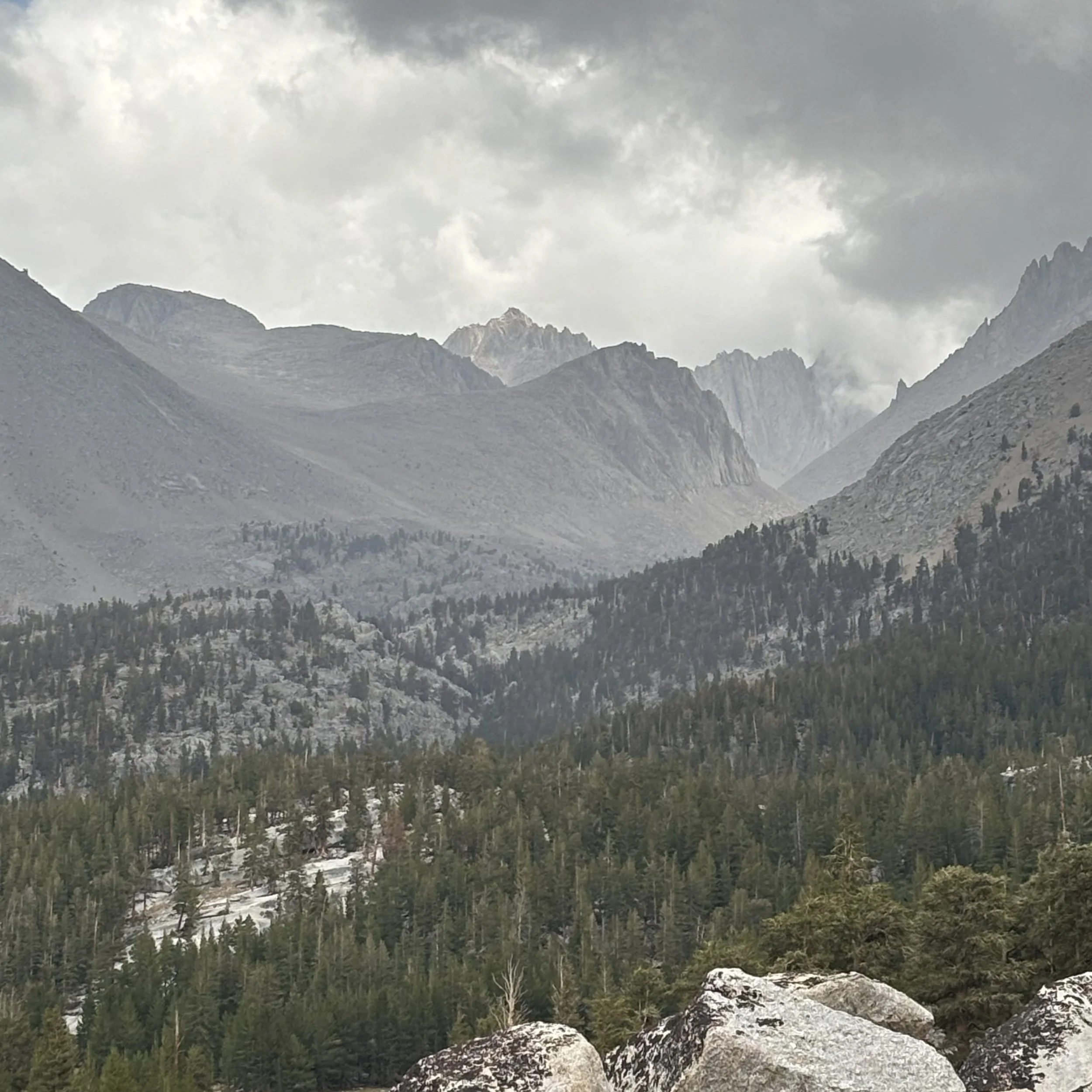JMT cop.jpeg
