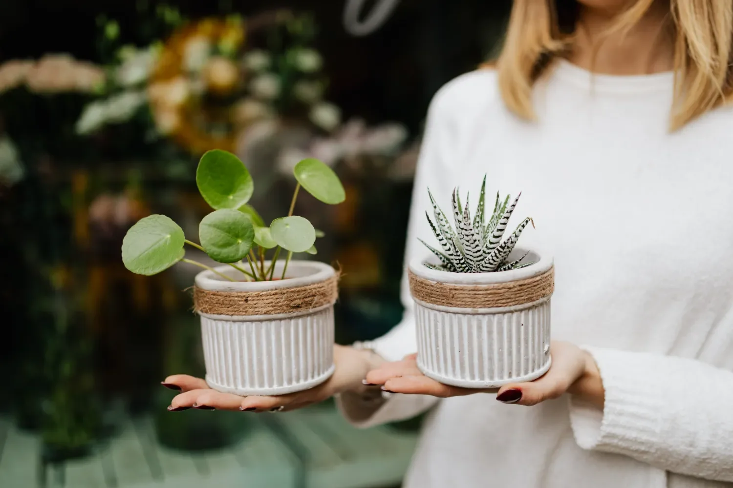 A woman in a white sweater holding two small potted plants, one with green leafy plant and the other with a spiky succulent.