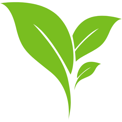 Green illustrated plant with three large leaves and a smaller leaf in the middle.