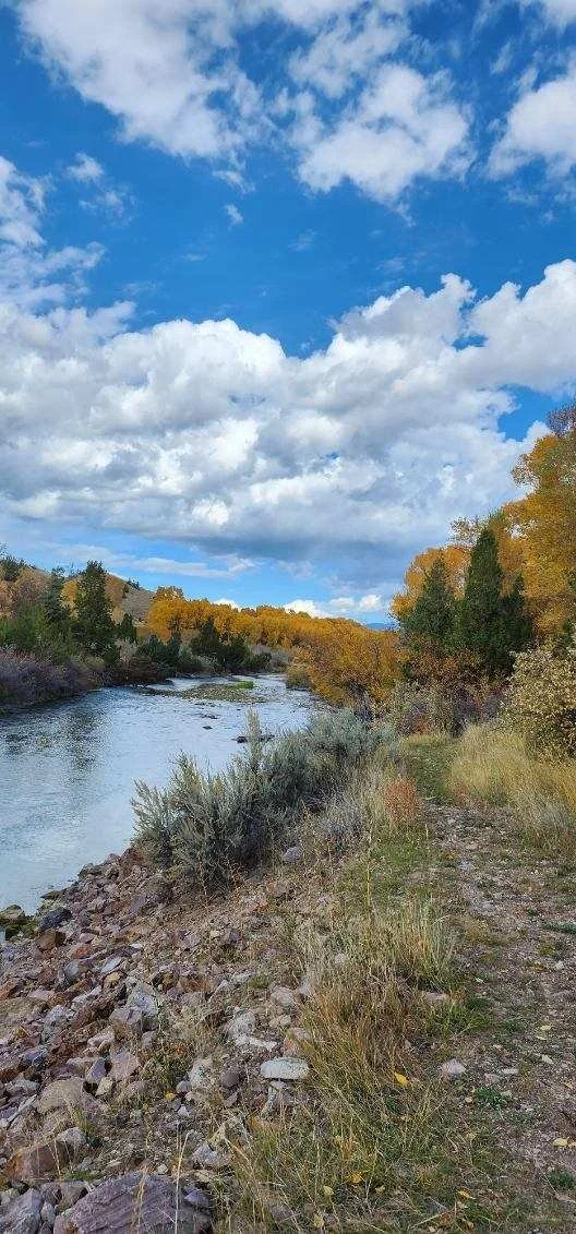 Larkspur Property Management, serving southwest Montana. A scenic Montana river flowing through a landscape with trees displaying autumn foliage under a partly cloudy sky.