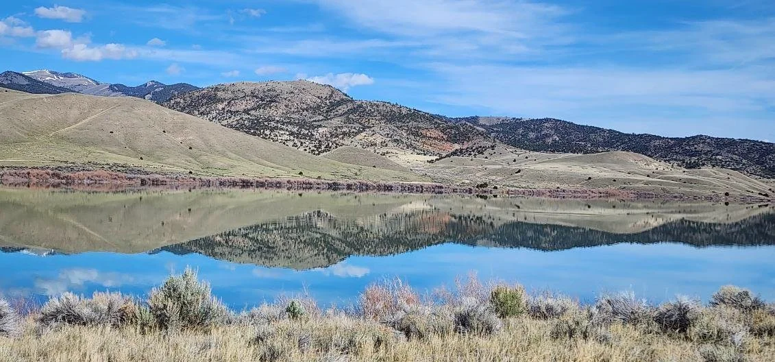Larkspur Property Management, serving southwest Montana. A calm Montana lake reflecting surrounding mountains and a blue sky with clouds, with dry grass and shrubs in the foreground.