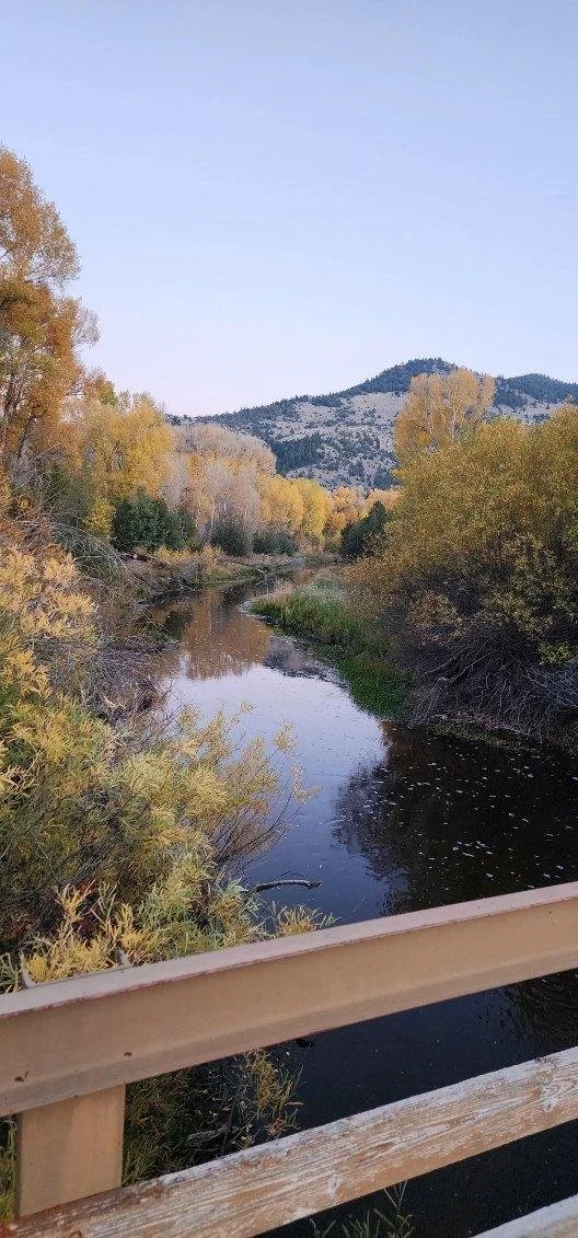 A scenic view of a river flowing through a forested area with trees displaying fall colors, rolling hills in the background, and a wooden railing in the foreground.