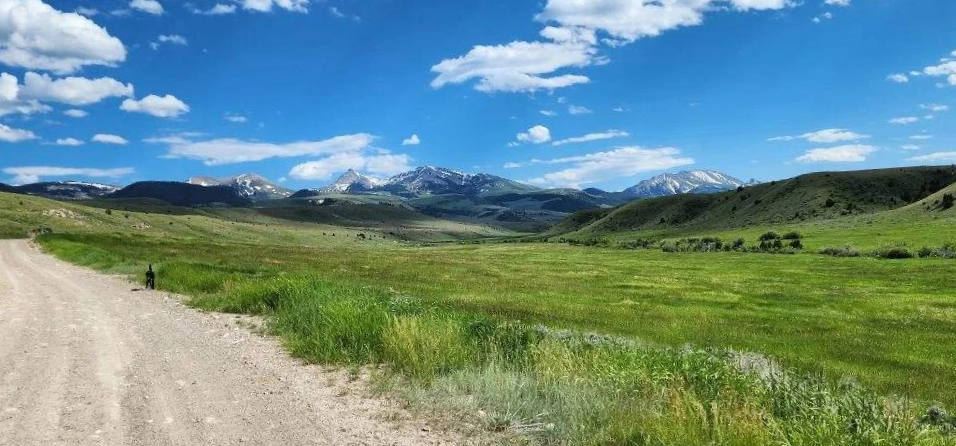 Larkspur Property Management, serving southwest Montana. A dirt road running through green fields with mountains and snow-capped peaks in the background under a blue, Montana sky with scattered clouds.