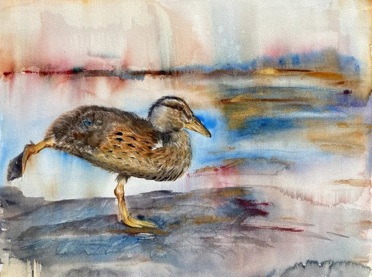 “Dancing Duckling” by Lisa Hoekstra of JavaLisaArt