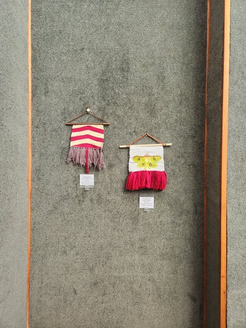 Collection of student portraits and illustrations displayed on a gallery wall