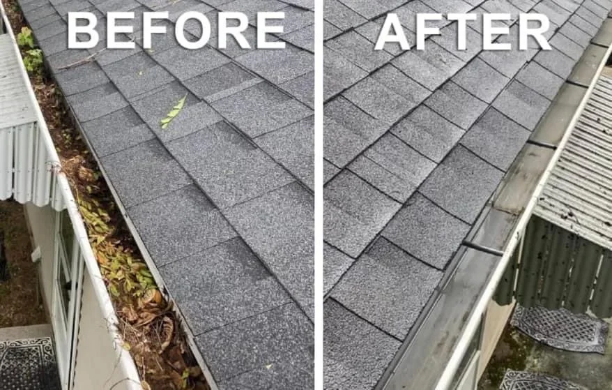 before after2.webp