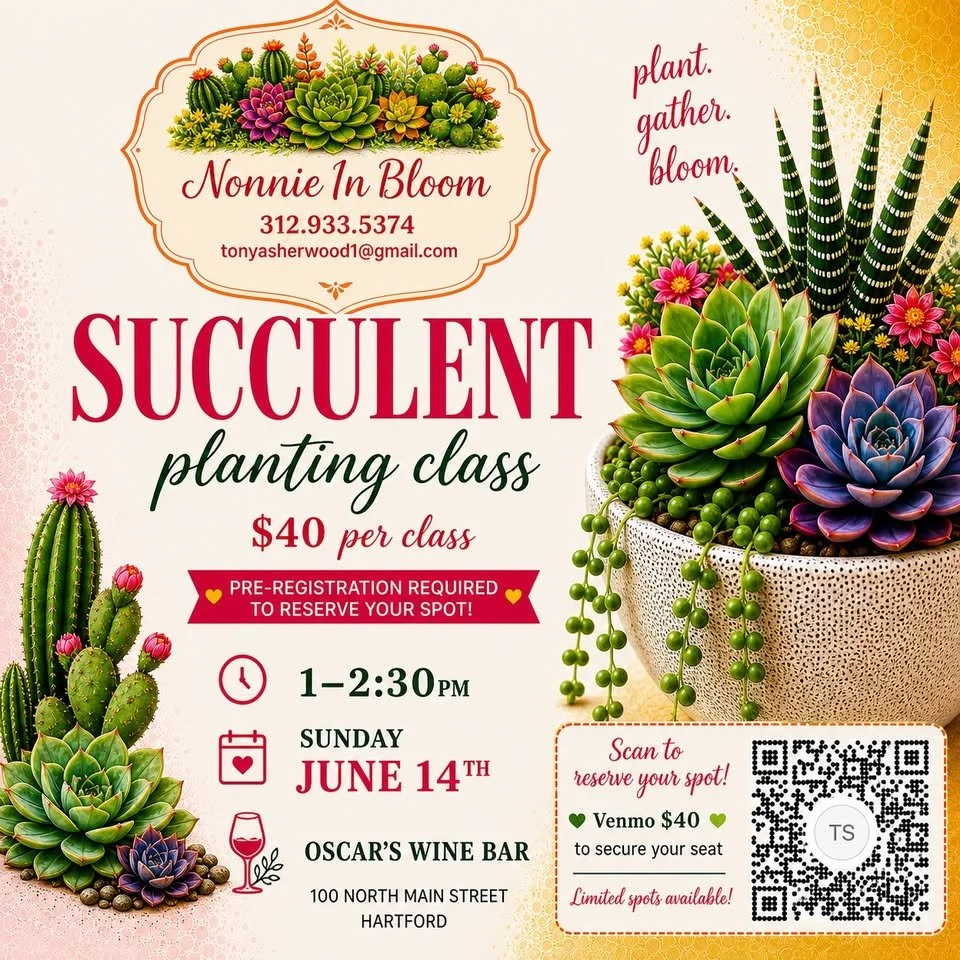 Succulent Plant Workshop