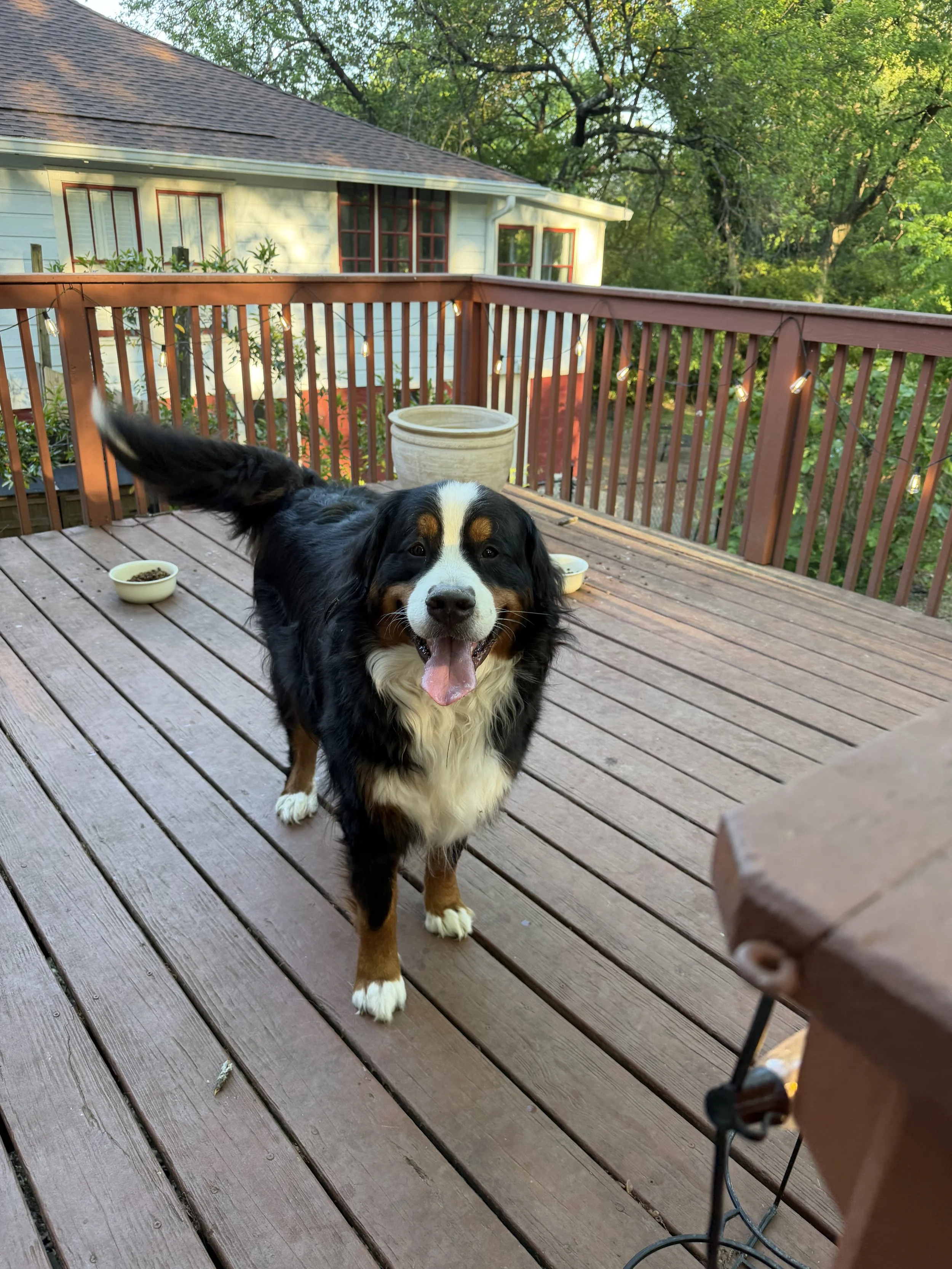 IMG_0328.jpeg