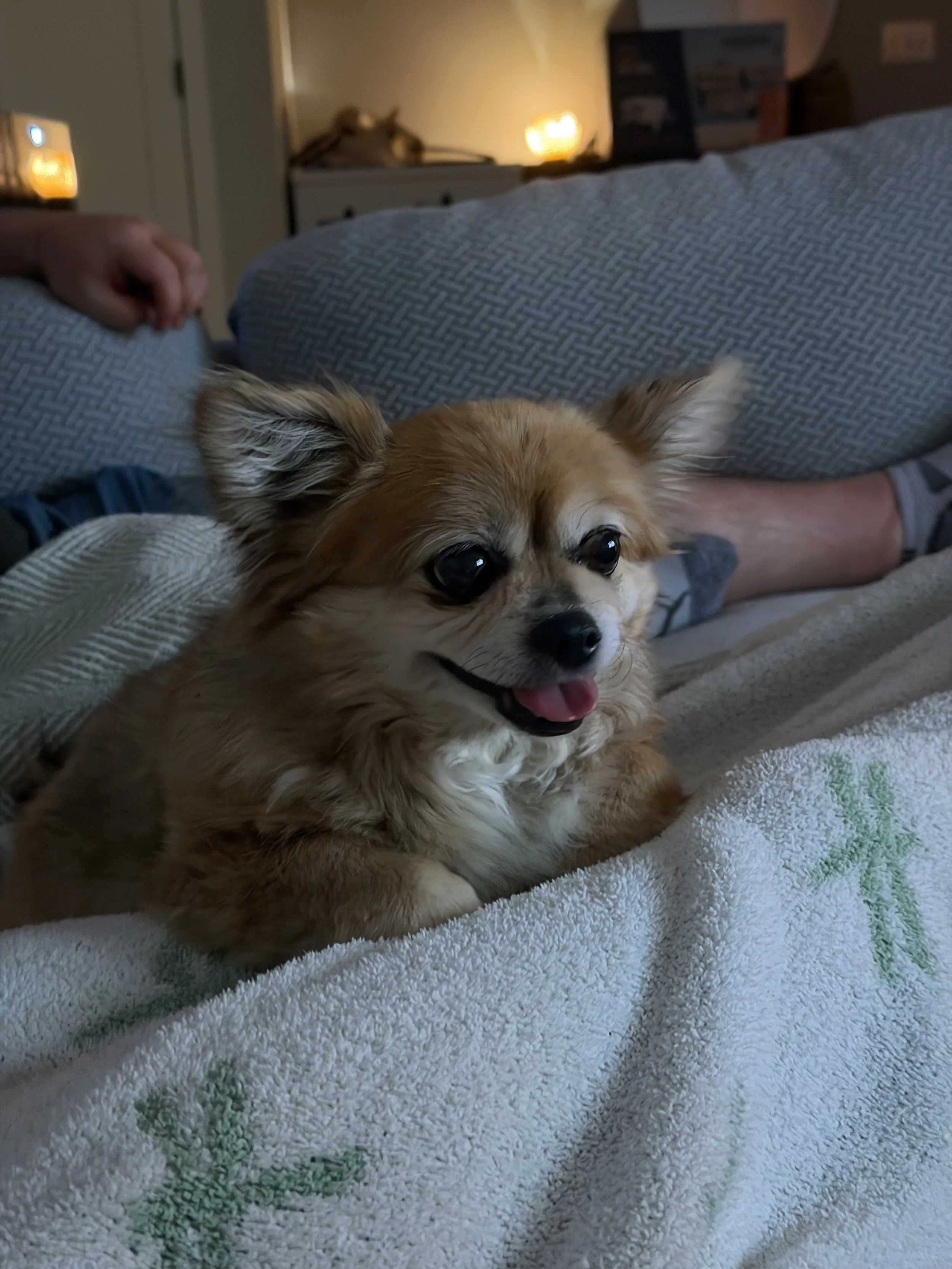 IMG_0622.jpeg