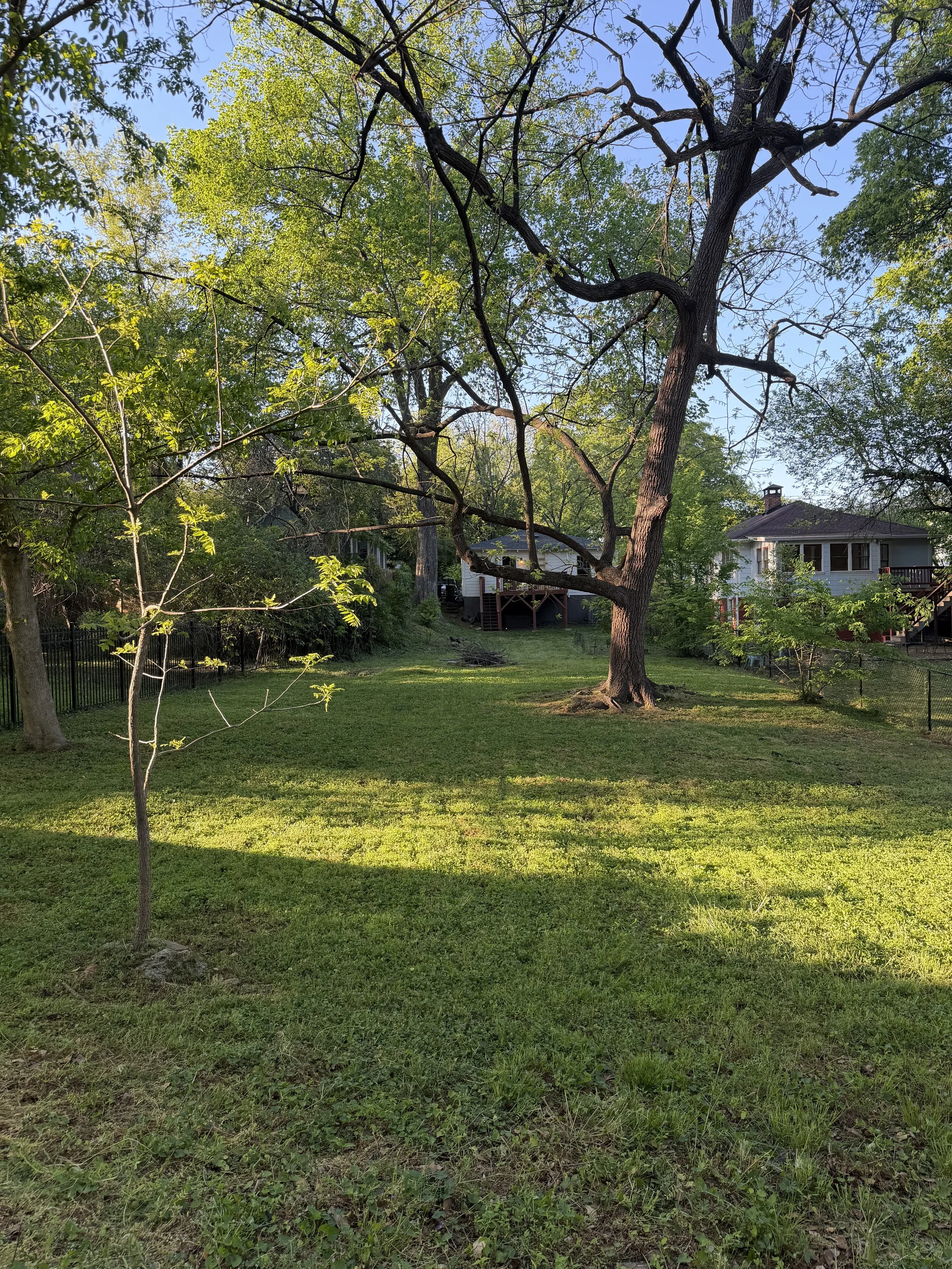 IMG_0322.jpeg