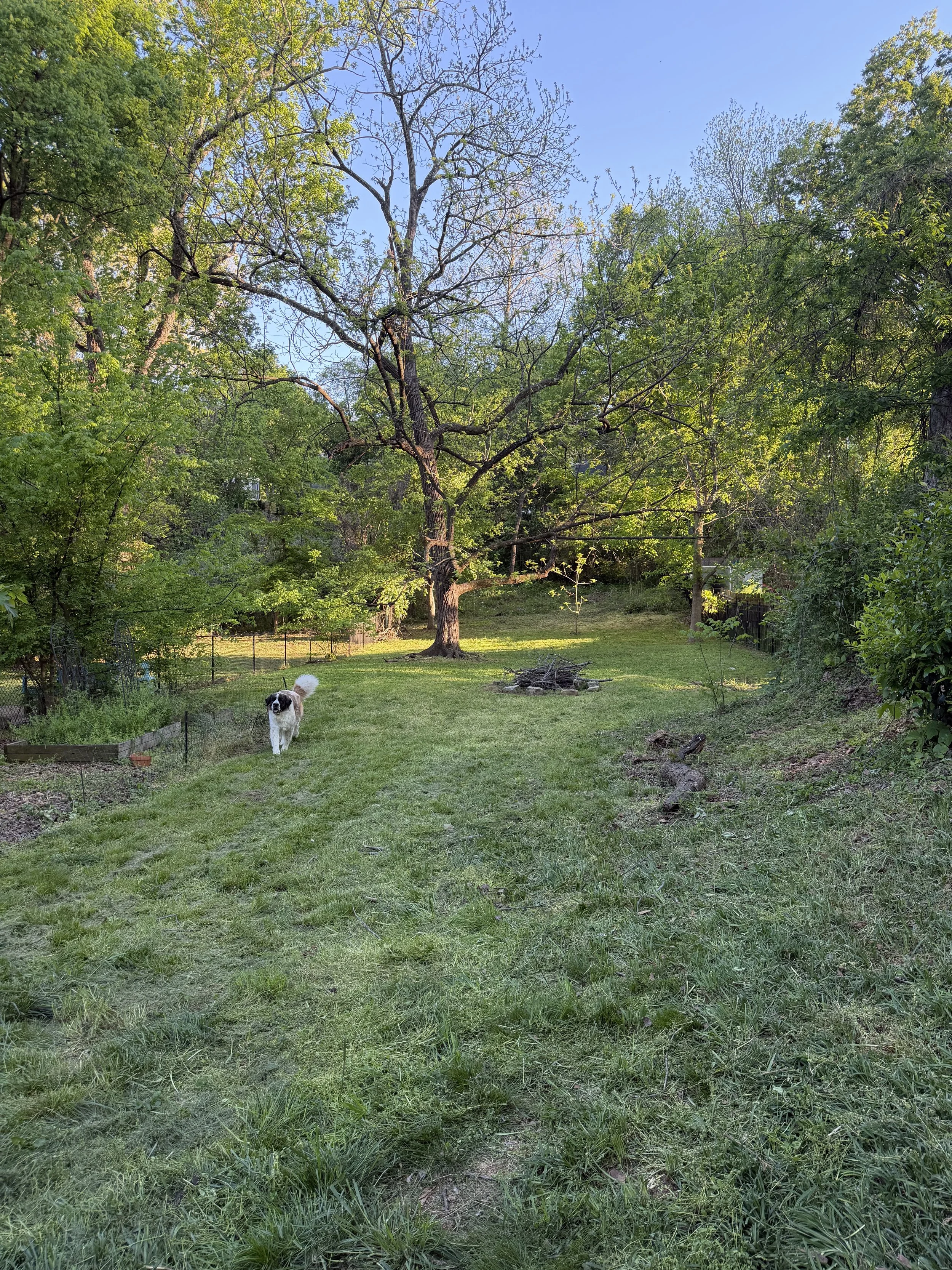IMG_0327.jpeg