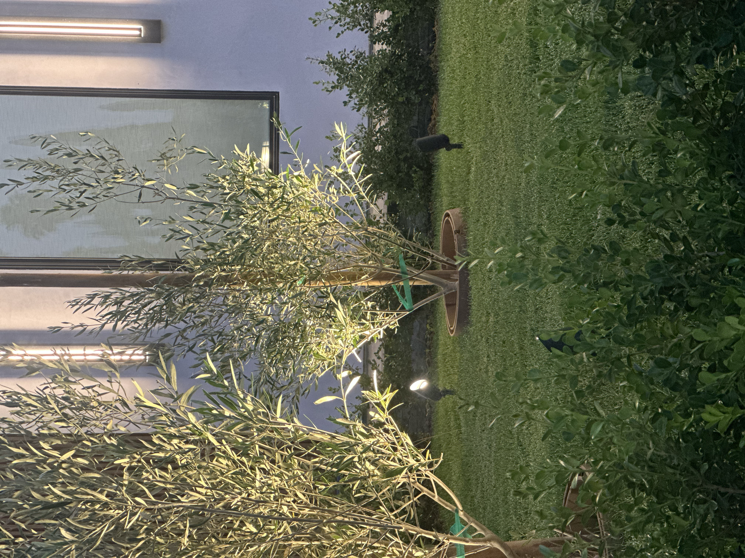 A modern house with large windows illuminated from inside, surrounded by a lush green garden with trees and shrubs, at dusk.