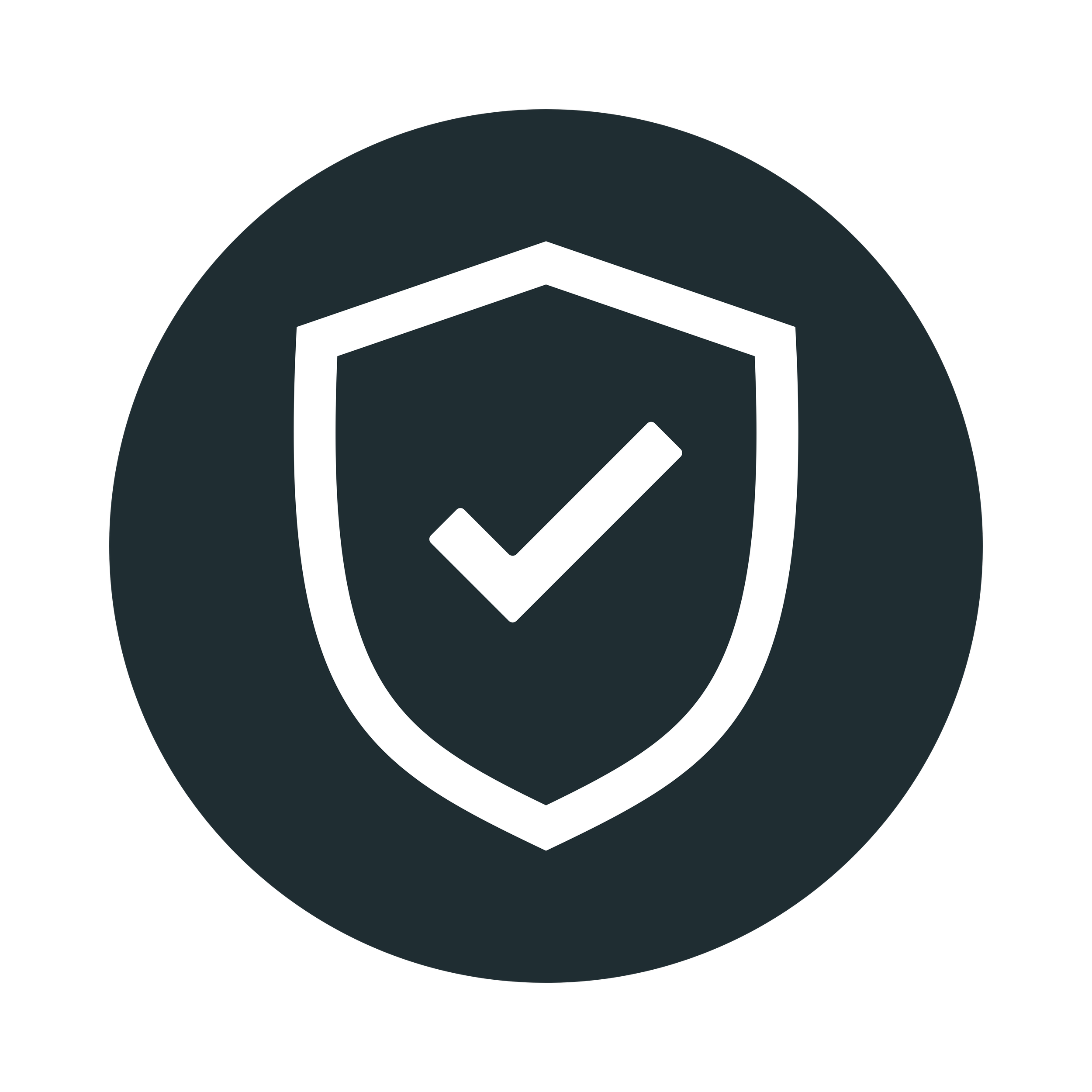 Graphic Icon of a Shield Symbolizing Reliability
