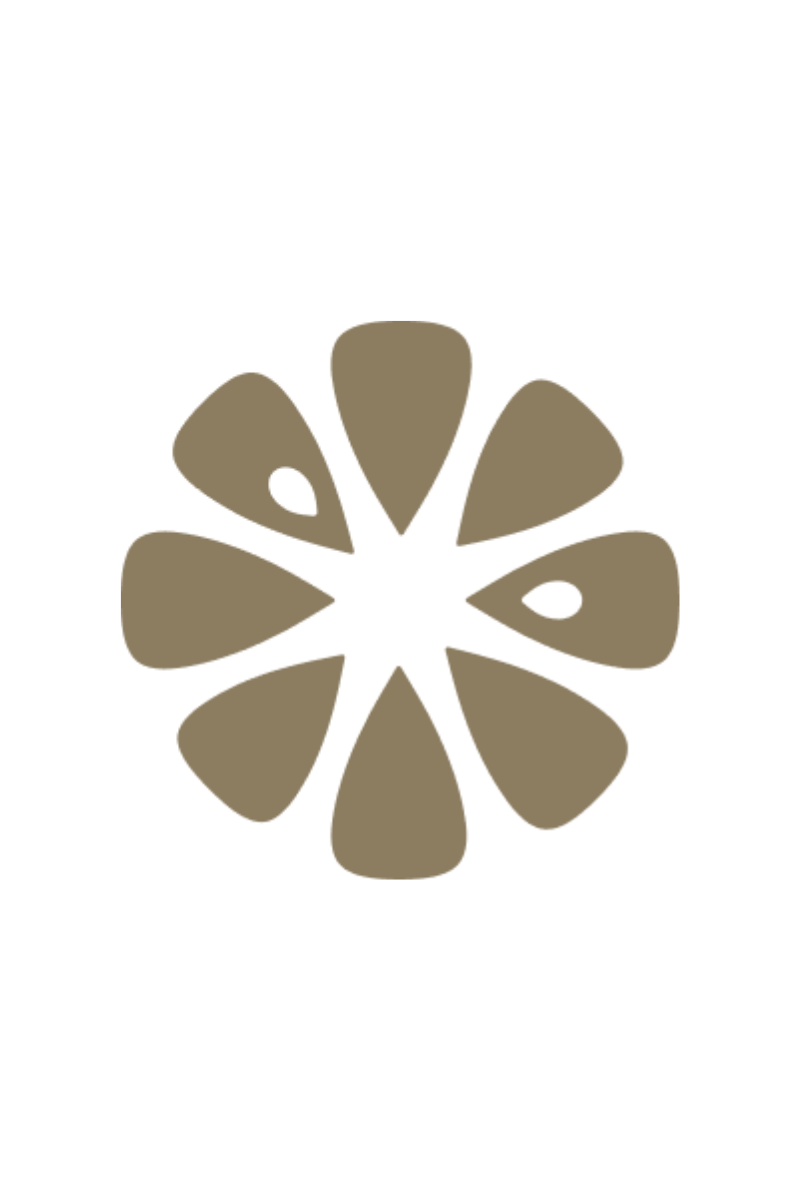 45 Lemons brand icon featuring a stylized lemon slice
