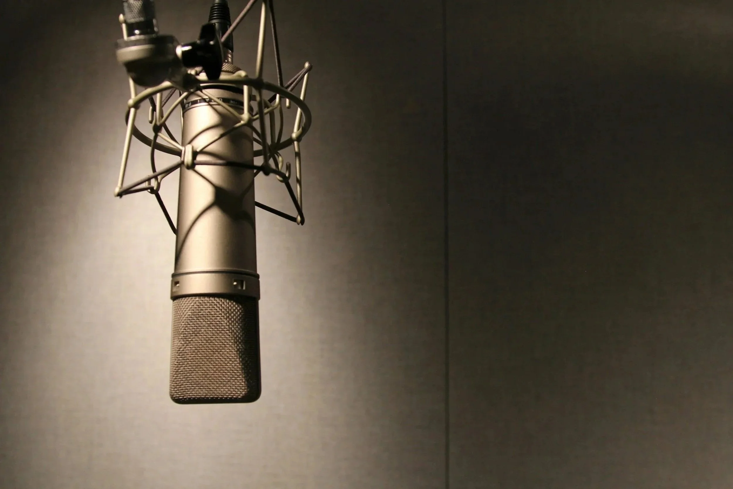 A professional studio microphone with a shock mount in a recording booth.