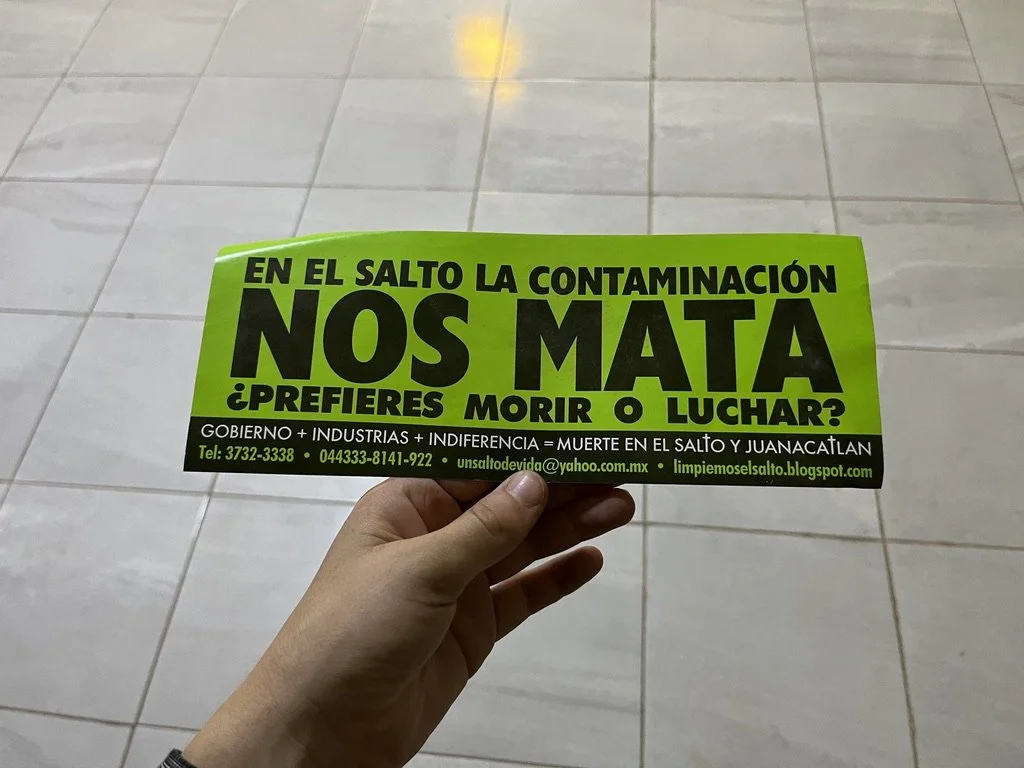 206D96A7-B9C1-4C61-AA23-F1F0497914E7_1_105_c.jpeg