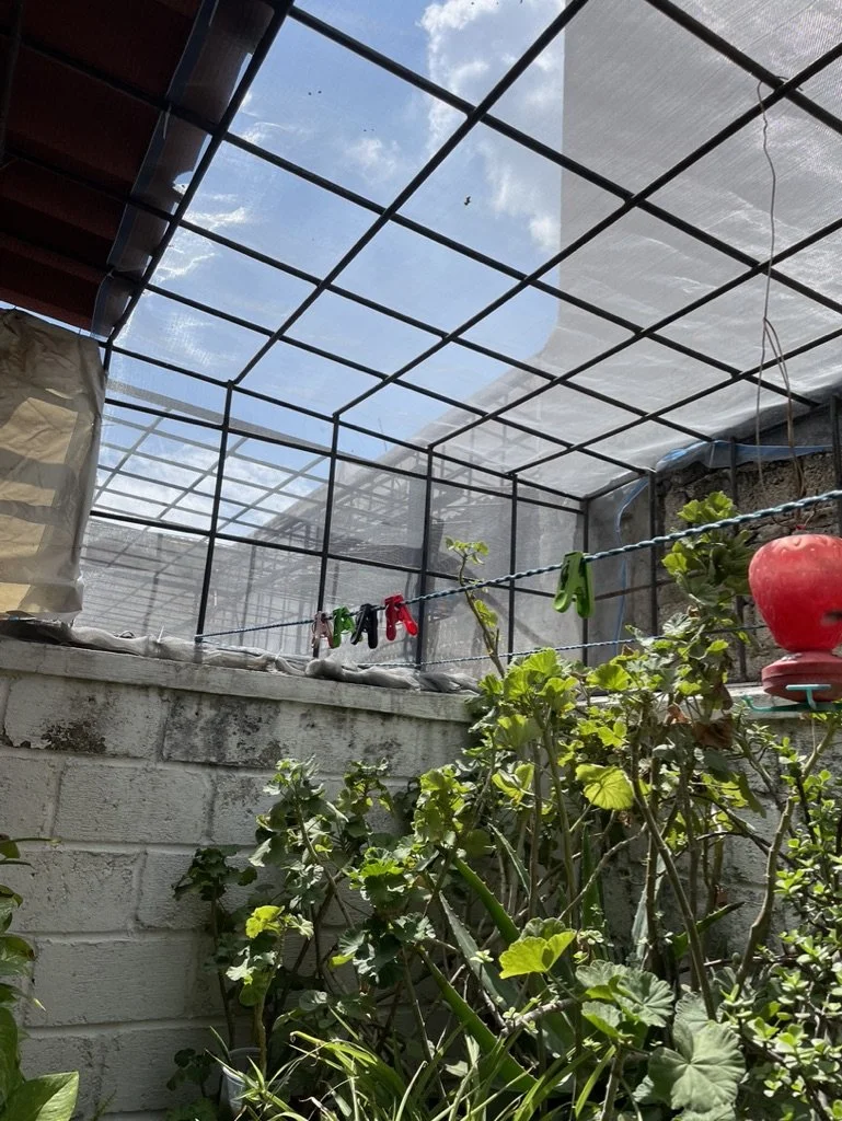 09F2D7C2-1468-48BF-89AE-C5E69897D877_1_105_c.jpeg
