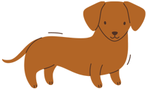 4 Legs Spa | Pet Grooming & Dog Spa in New Jersey Experts