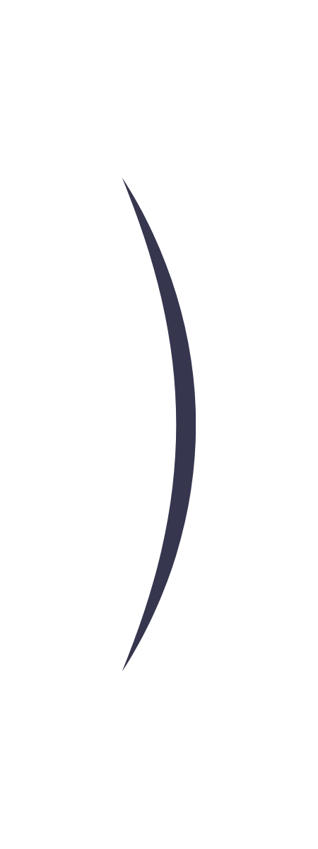 Close-up of a single black quill pen with a sharp tip.