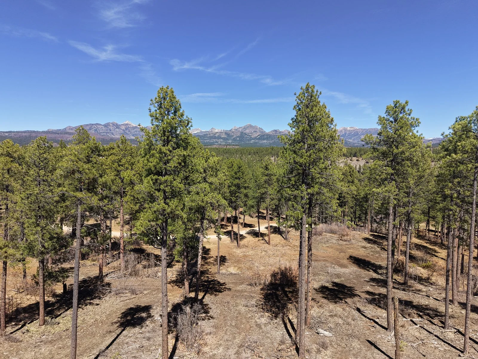 DJI_20260321133037_0032_D_websize.jpg