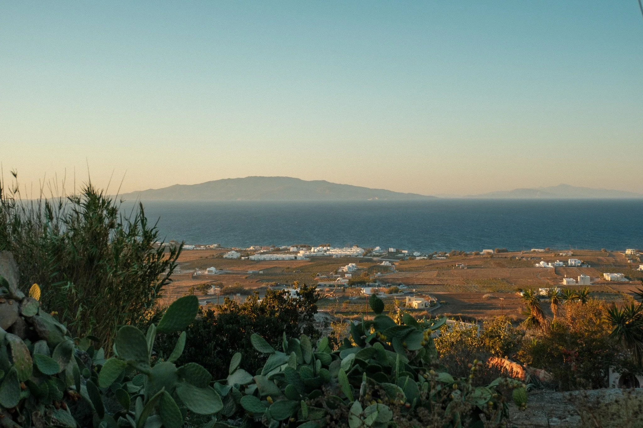 DSCF2971.jpg