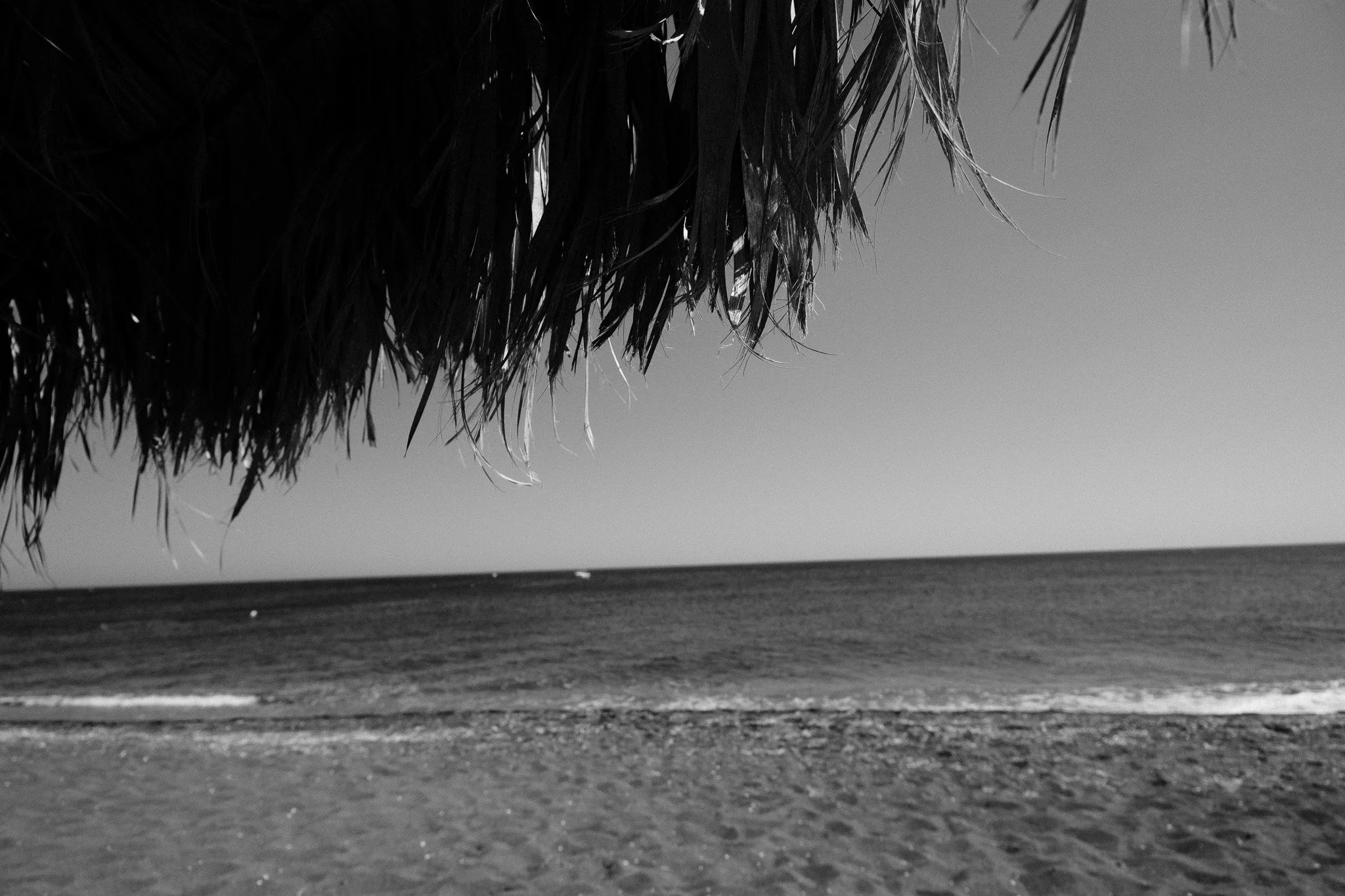 DSCF2989.jpg