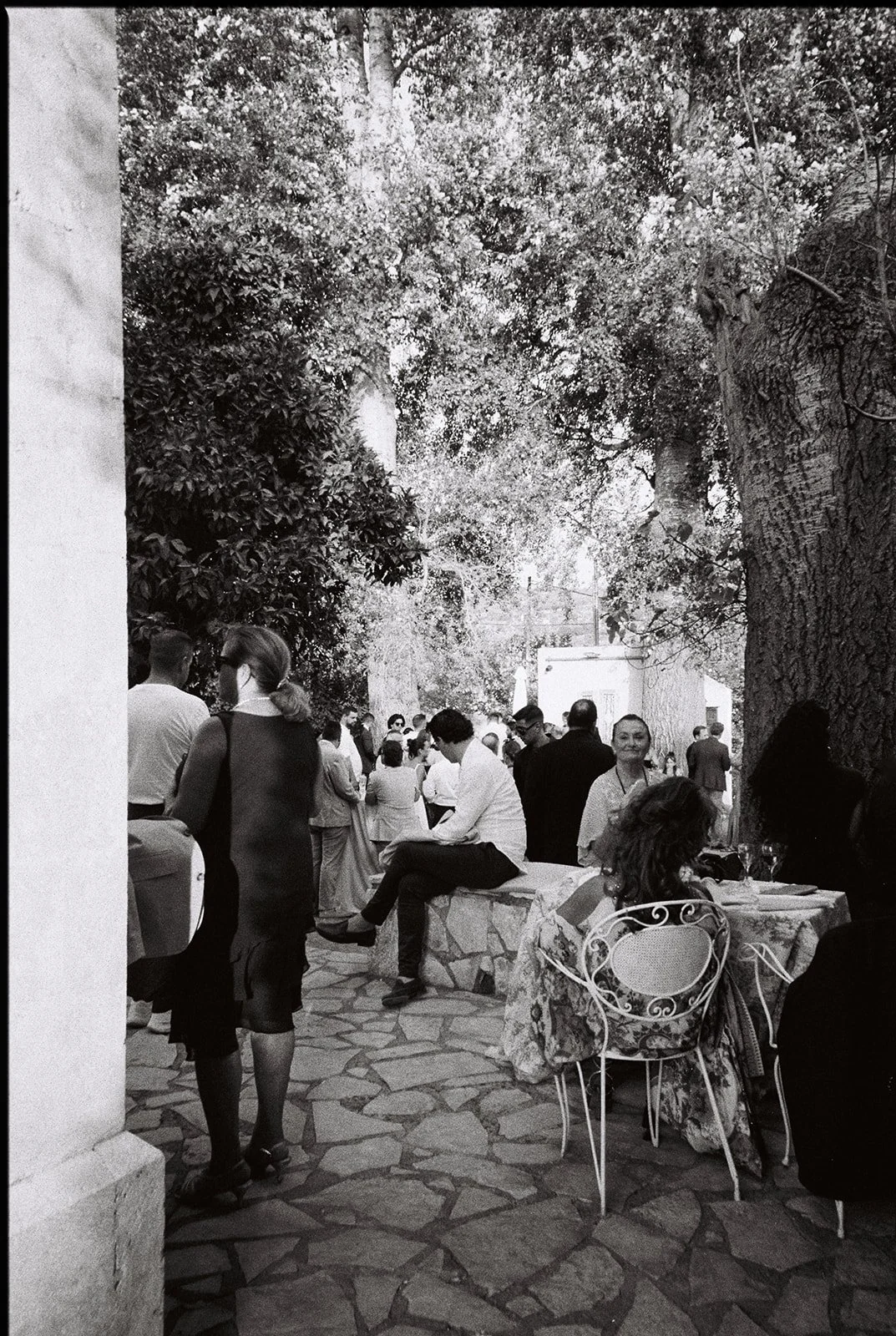 People gathered outdoors at a social event under tall trees, with some sitting at tables and others standing and socializing.